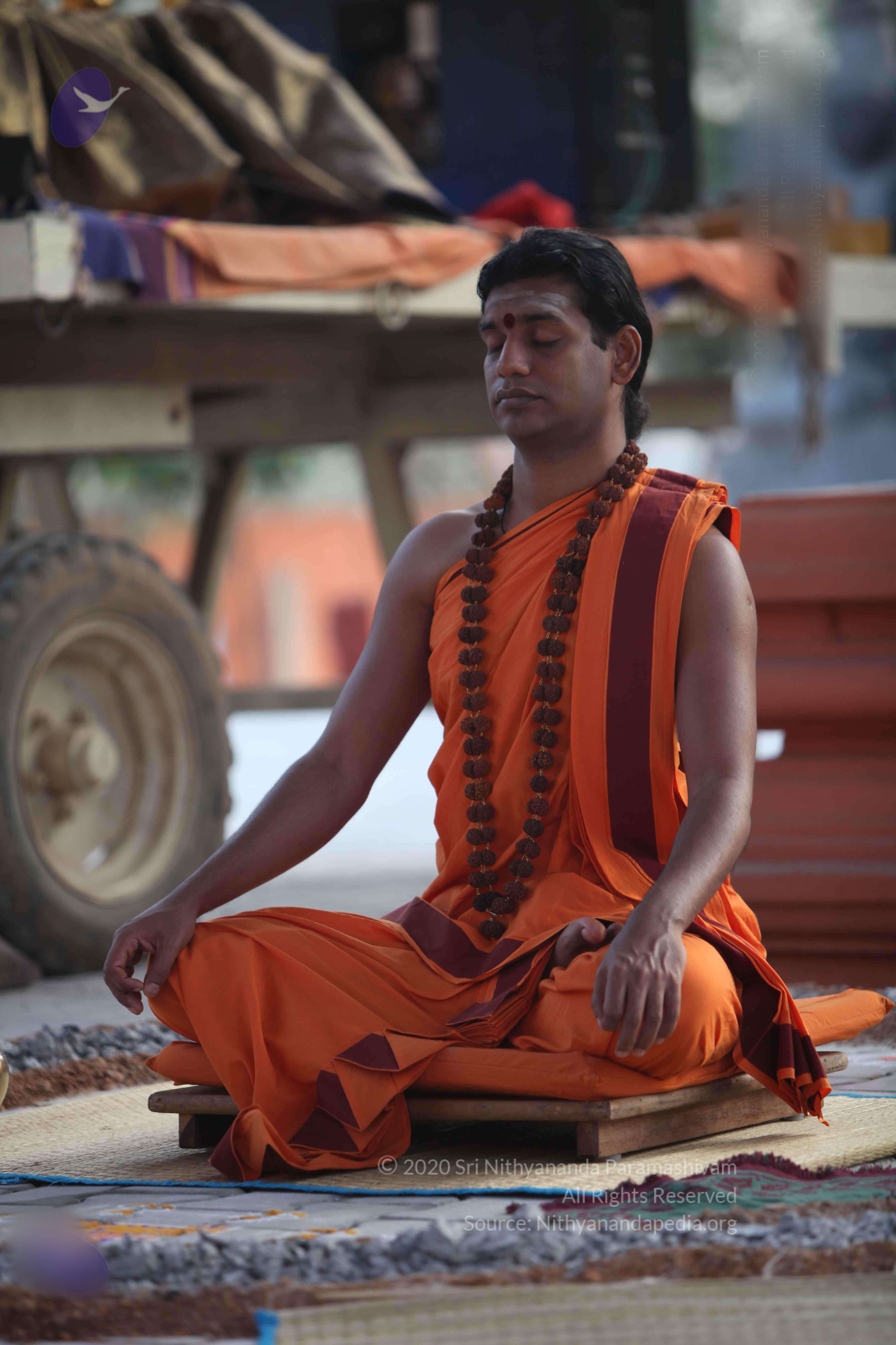 20110122_Photo_1127_IMG_2801_CMP_WM