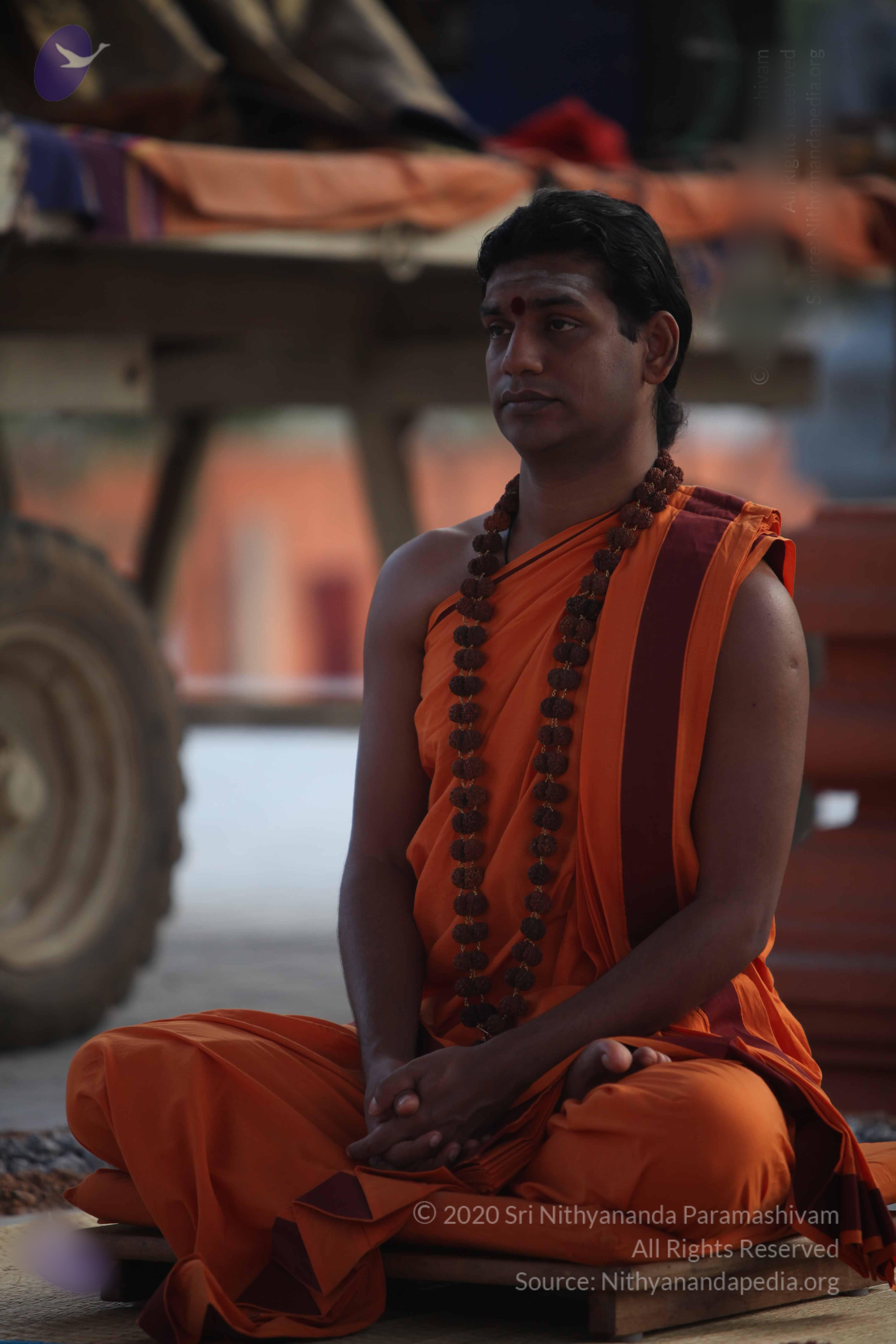 20110122_Photo_1129_IMG_2784_CMP_WM