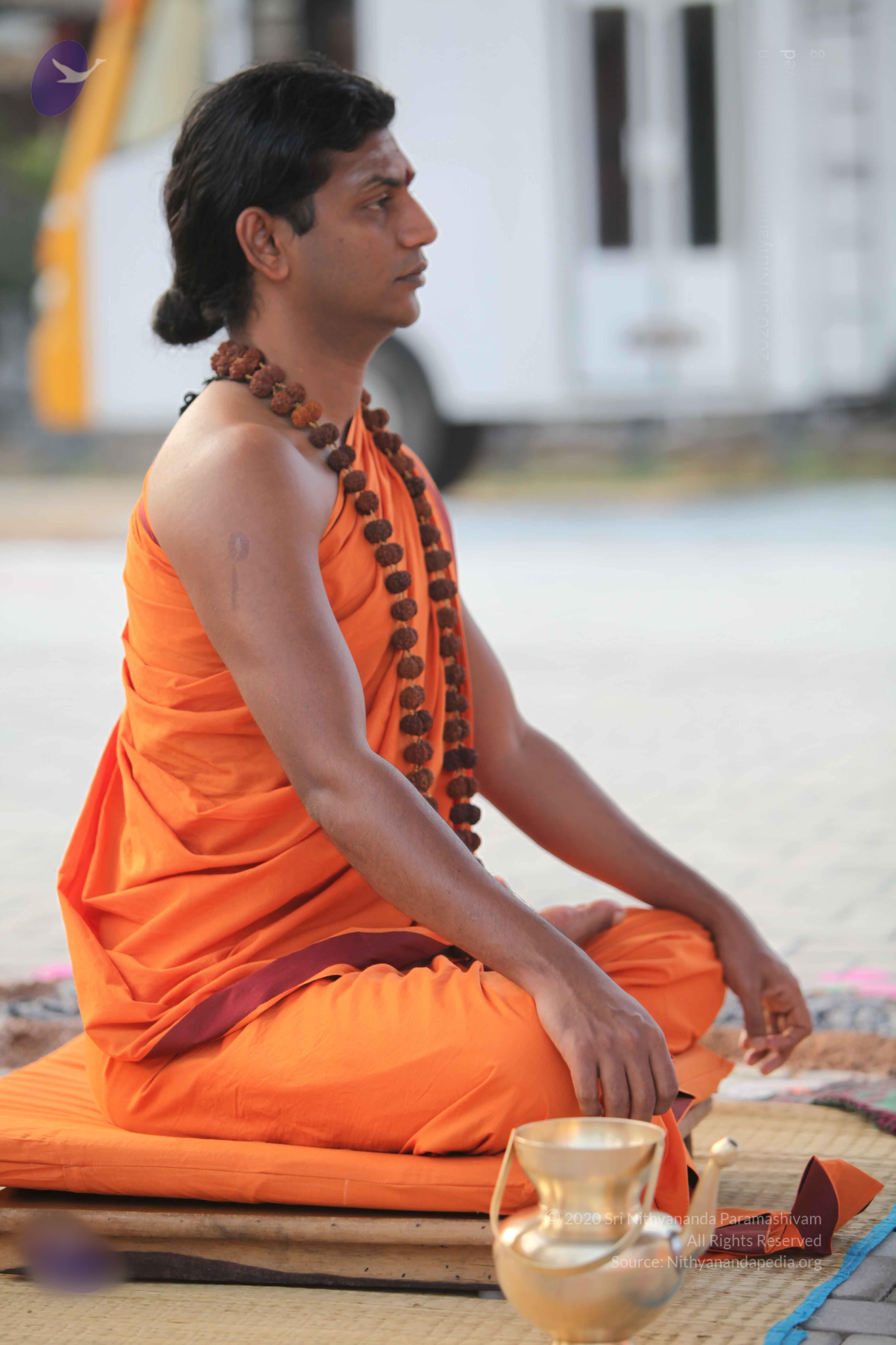 20110122_Photo_1133_IMG_2767_CMP_WM