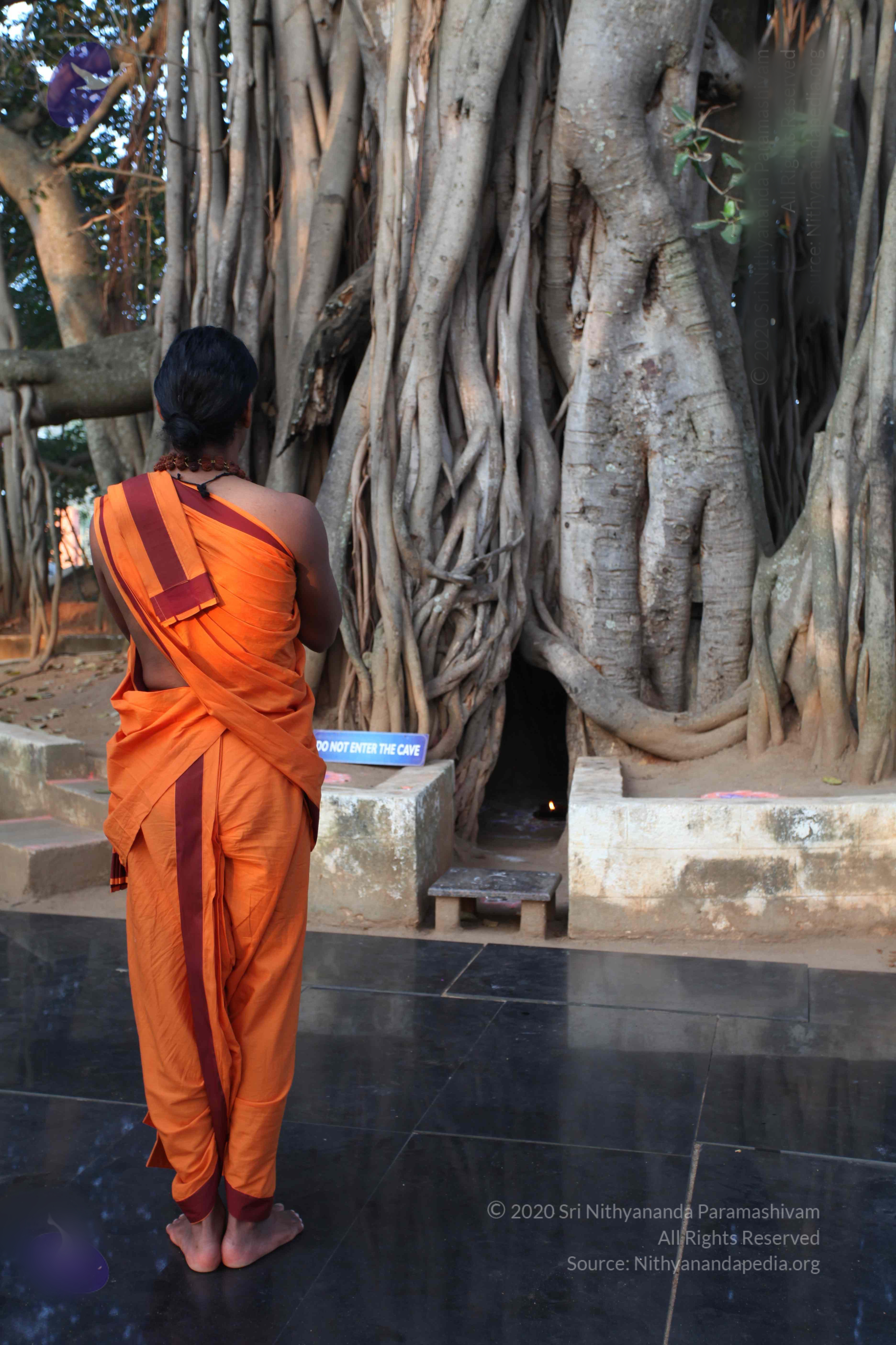 20110122_Photo_1135_IMG_2750_CMP_WM