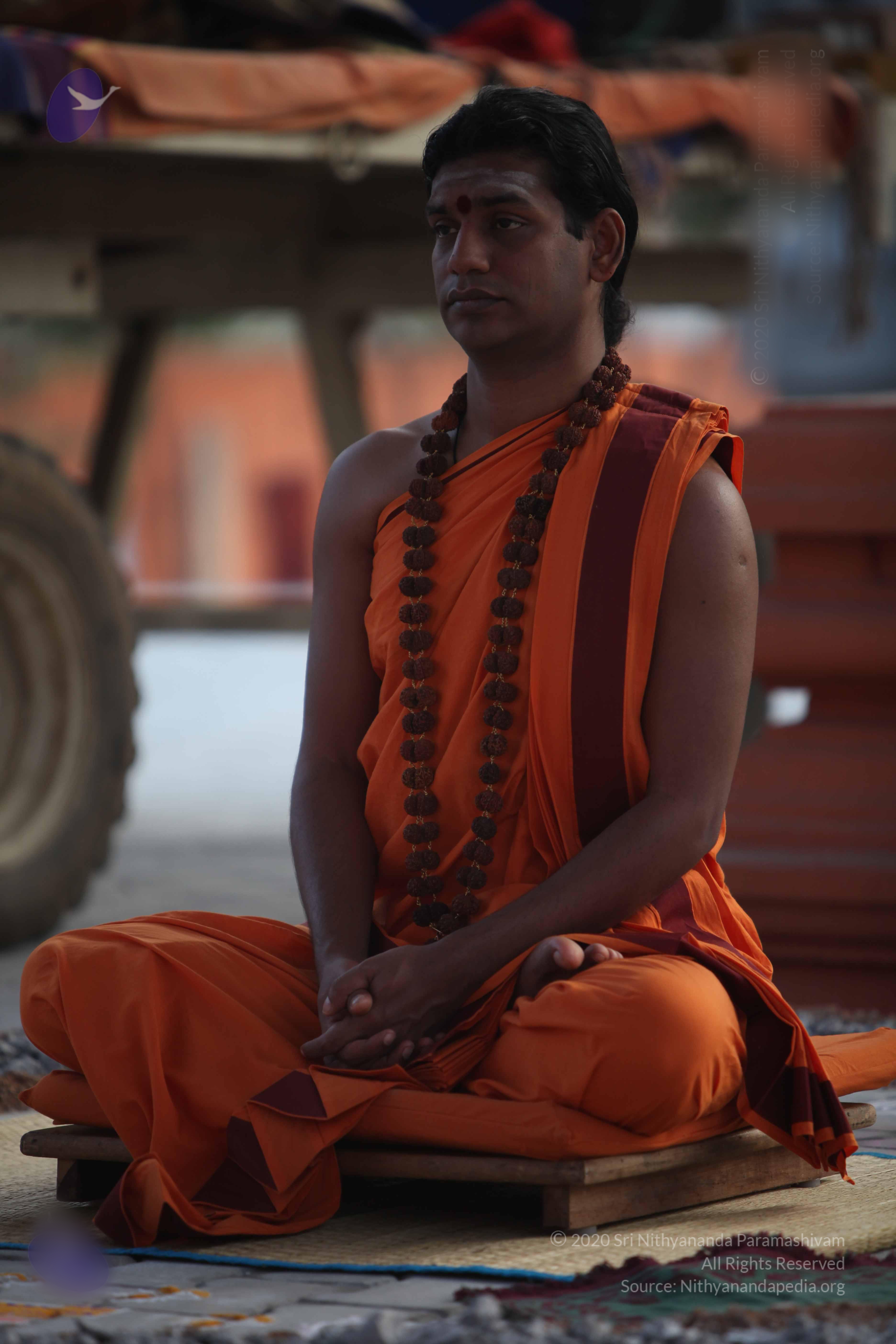 20110122_Photo_1145_IMG_2789_CMP_WM