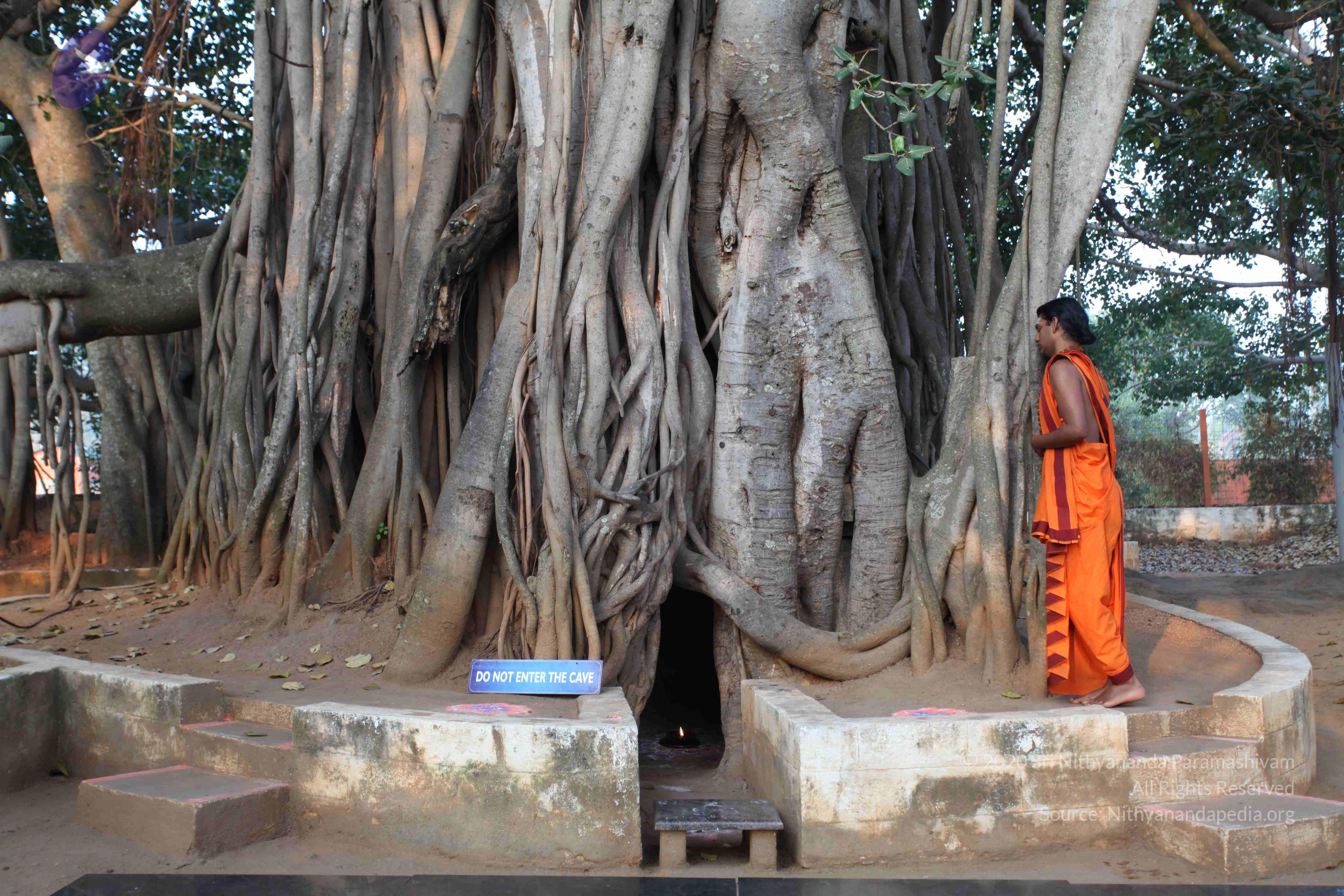 20110122_Photo_1153_IMG_2741_CMP_WM