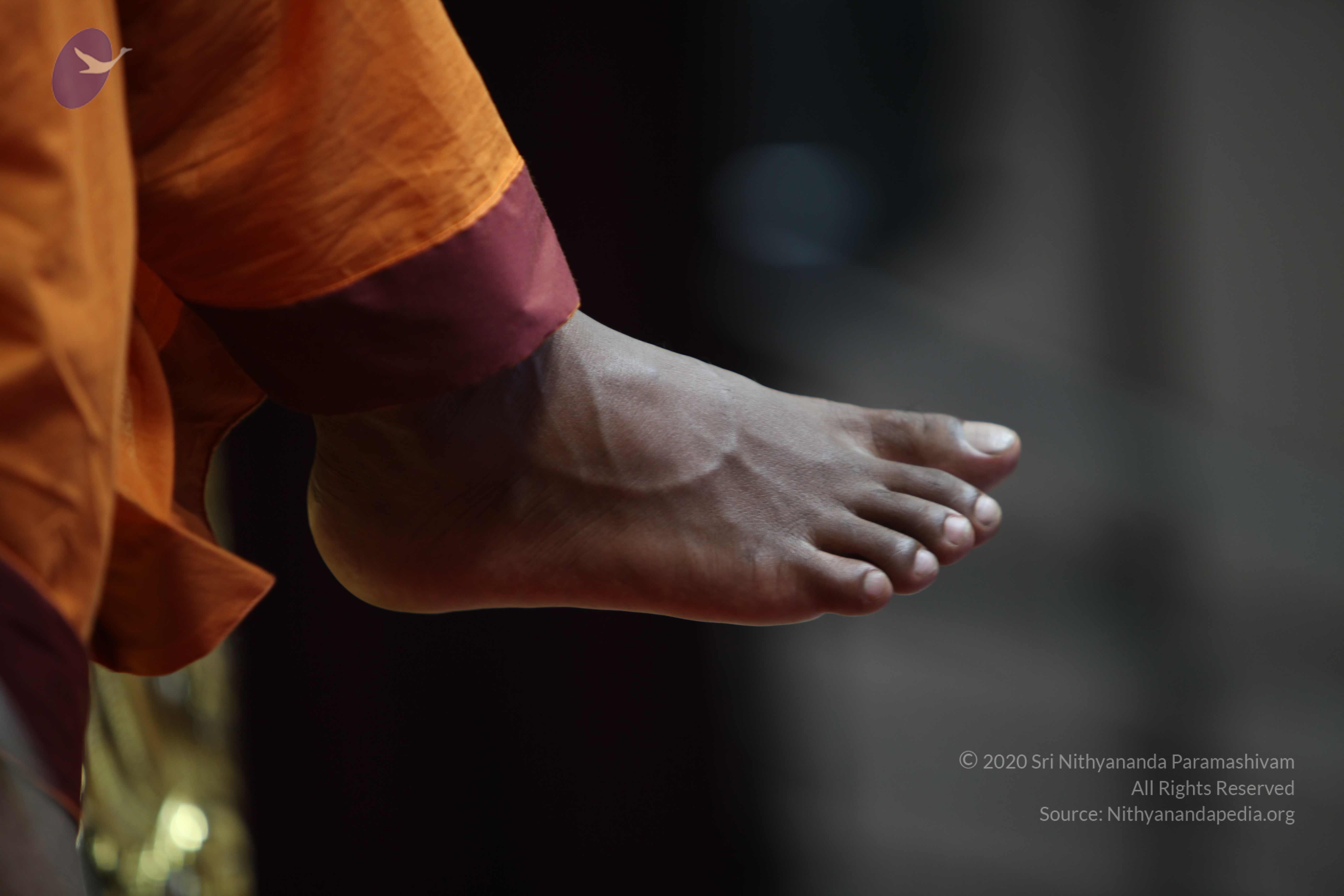 20110122_Photo_1155_IMG_3208_CMP_WM