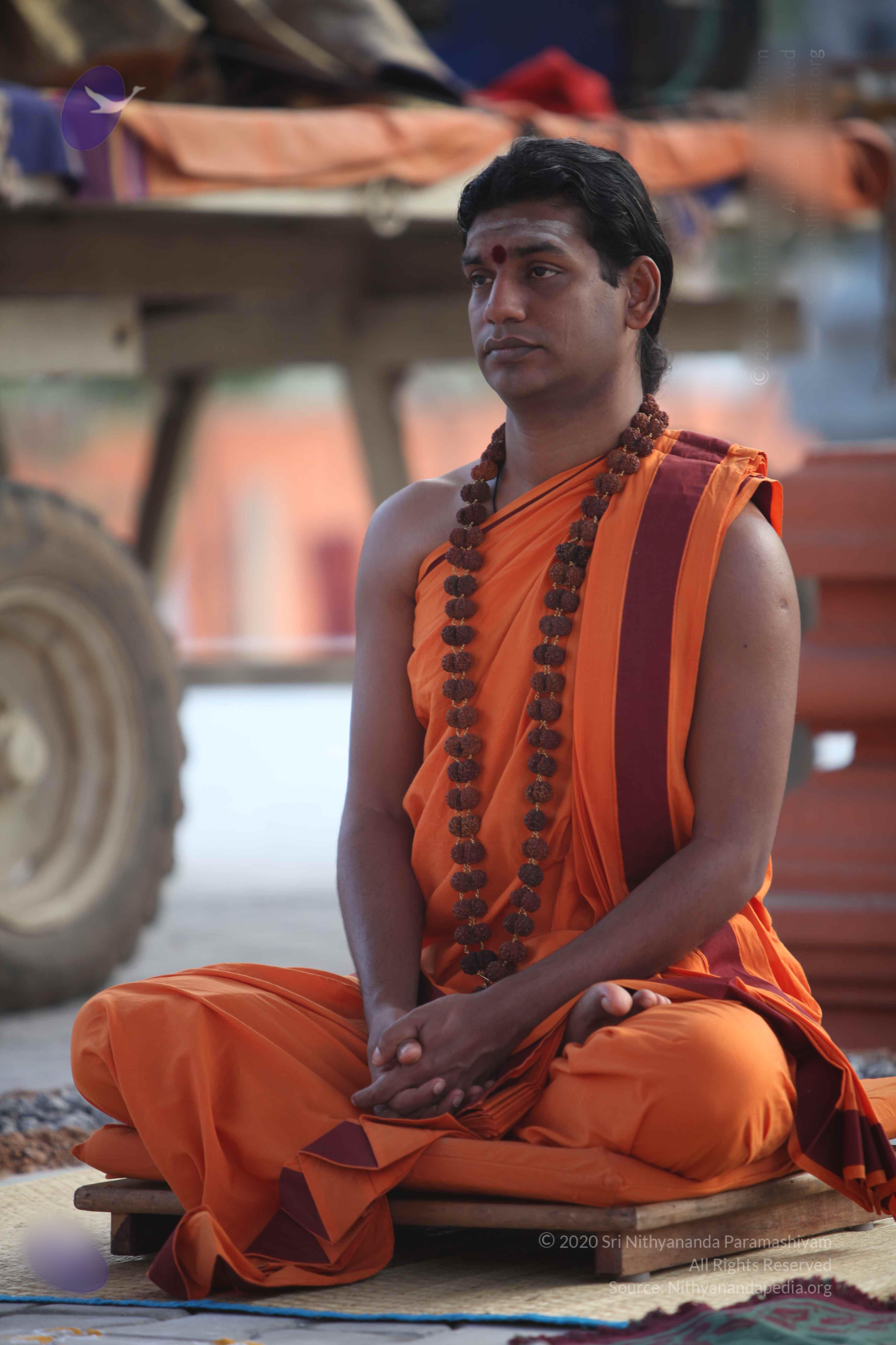 20110122_Photo_1160_IMG_2795_CMP_WM