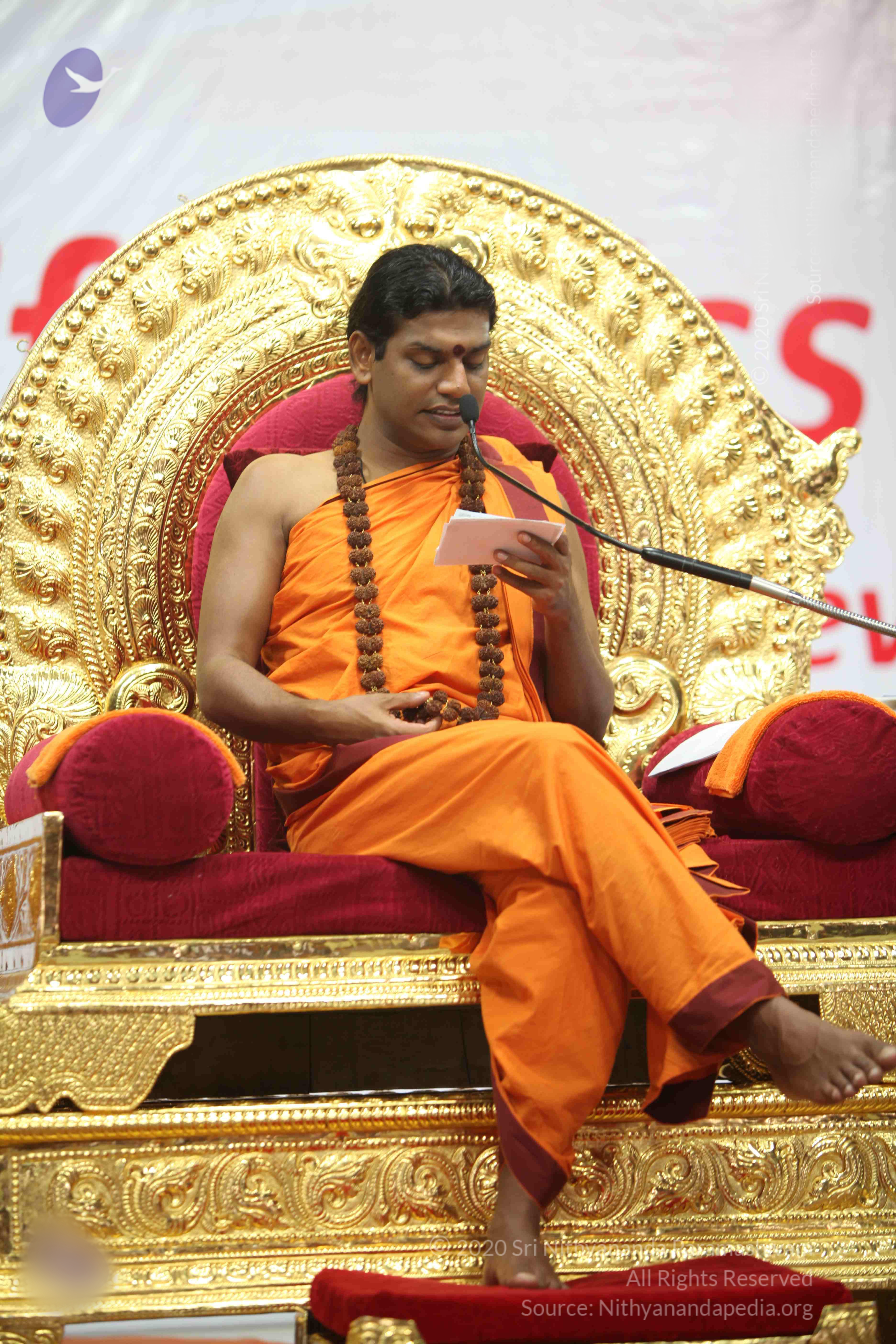 20110122_Photo_1162_IMG_2904_CMP_WM