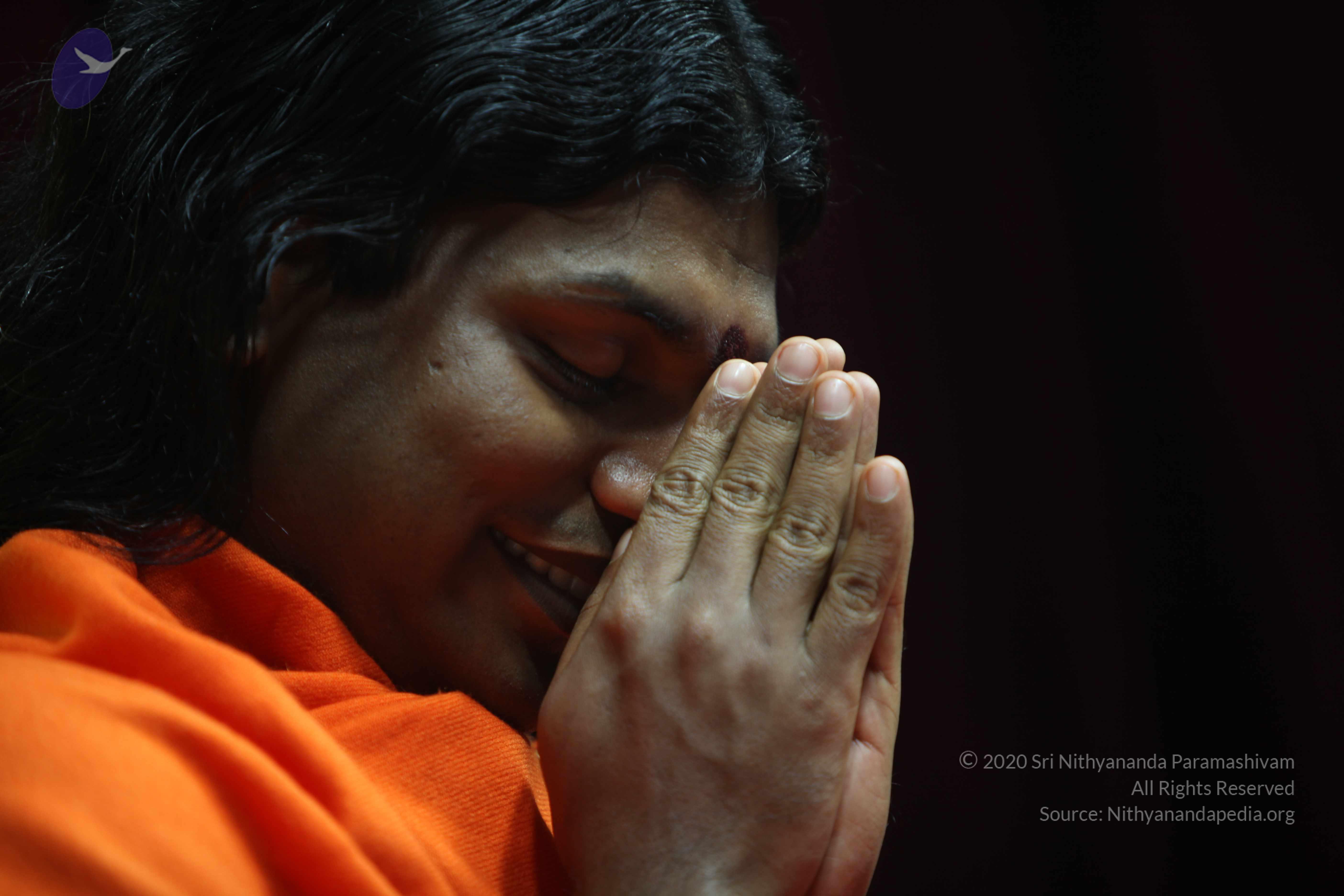 20110122_Photo_1163_IMG_3128_CMP_WM