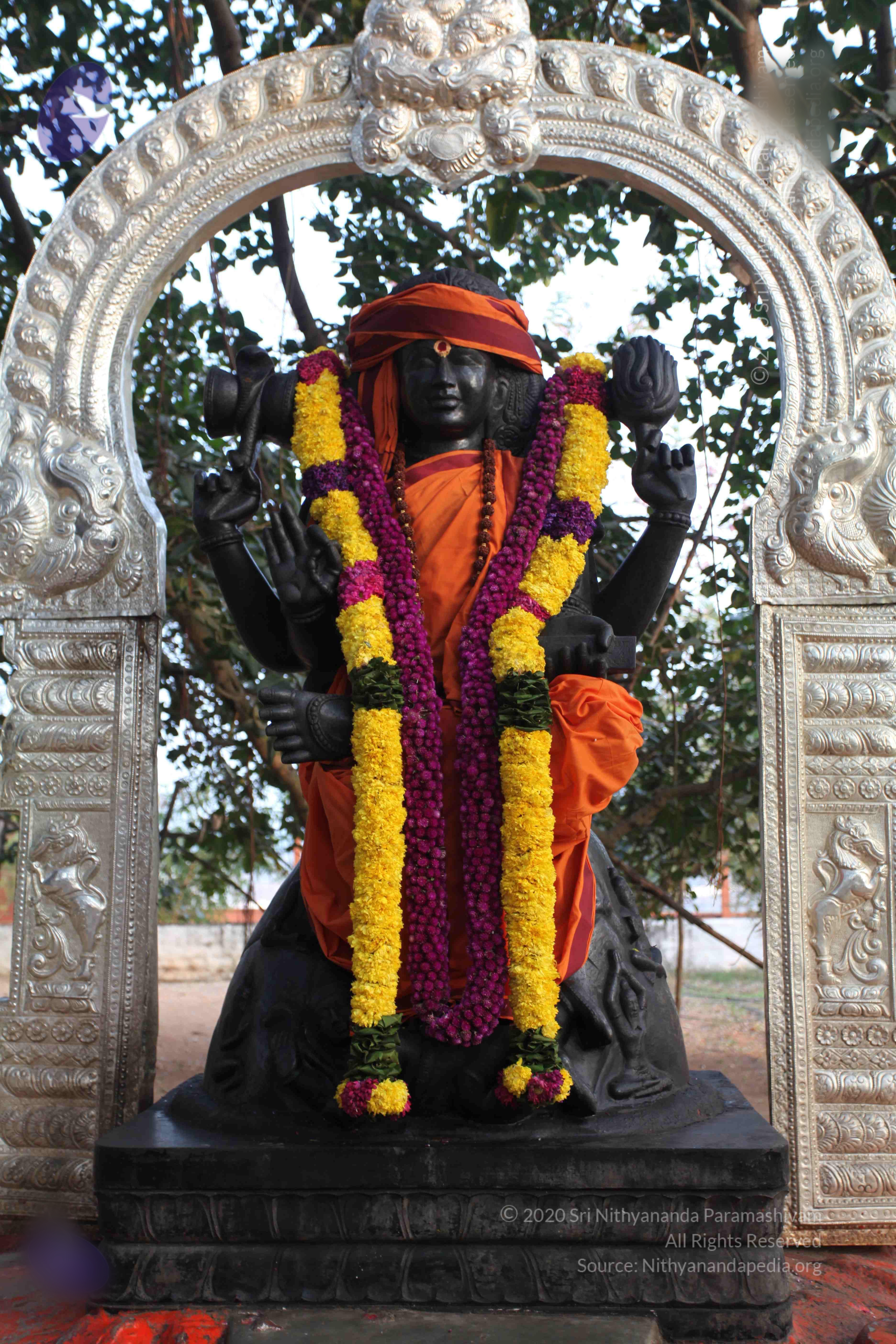 20110122_Photo_1171_IMG_2753_CMP_WM