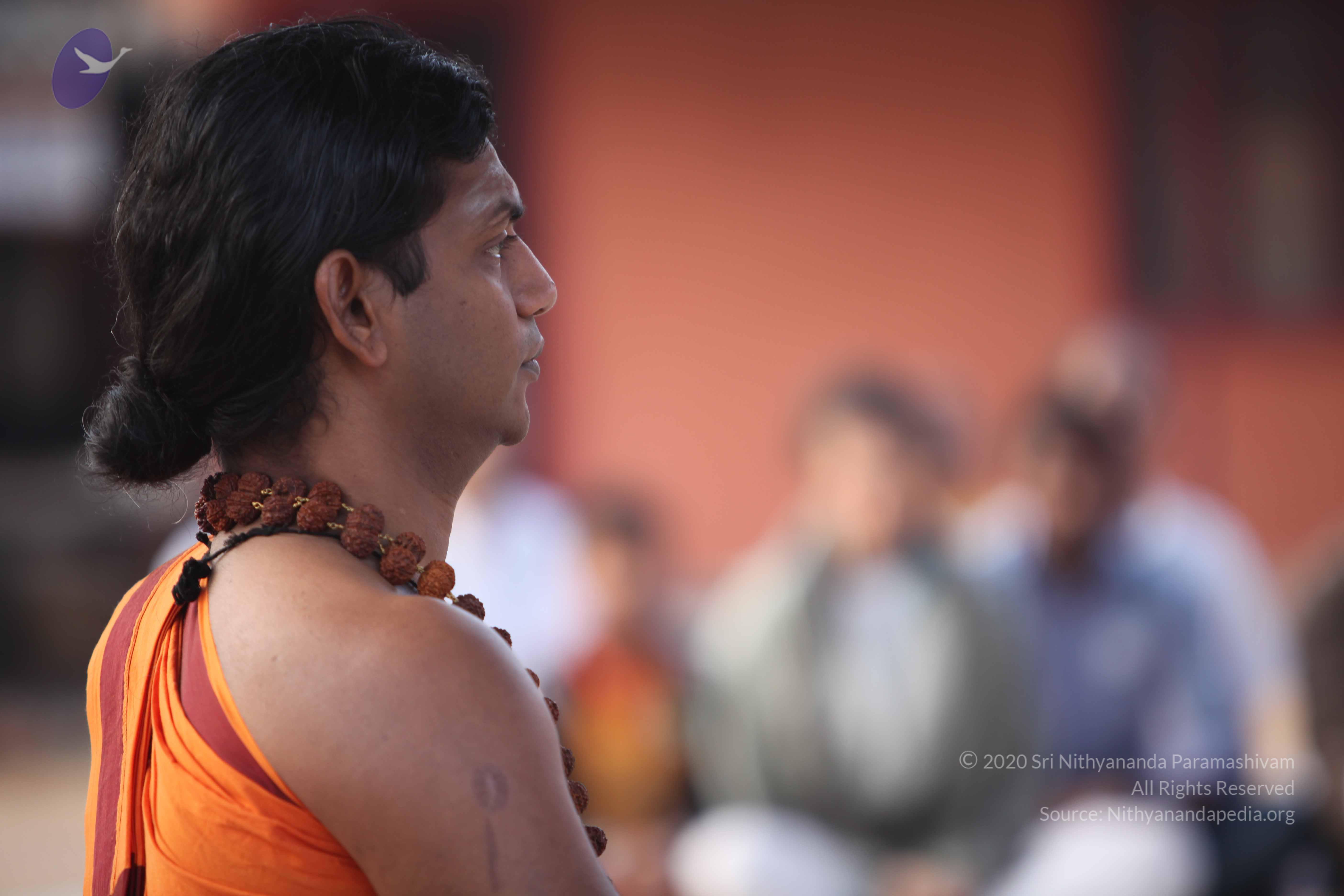 20110122_Photo_1172_IMG_2764_CMP_WM