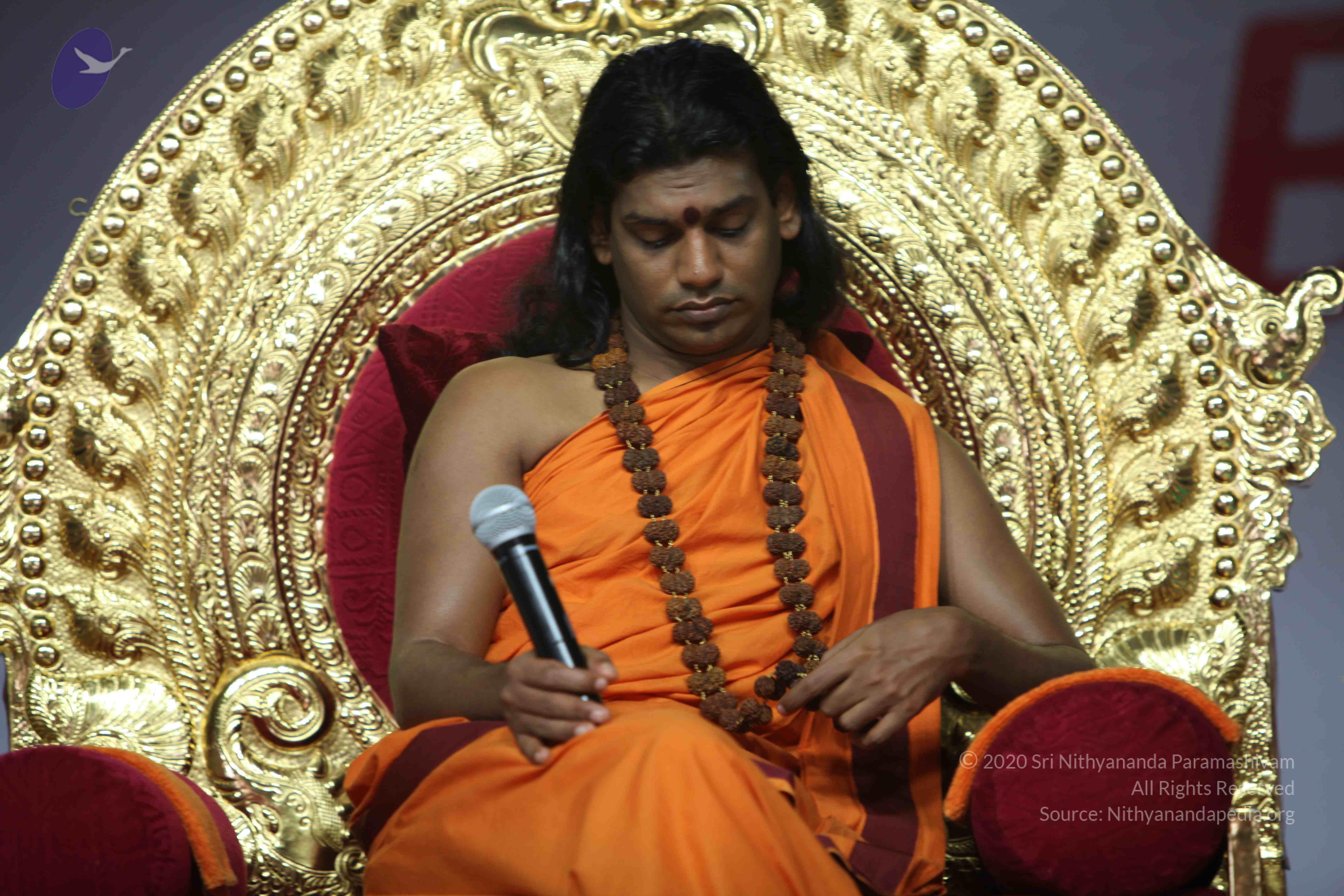 20110122_Photo_1173_IMG_3067_CMP_WM