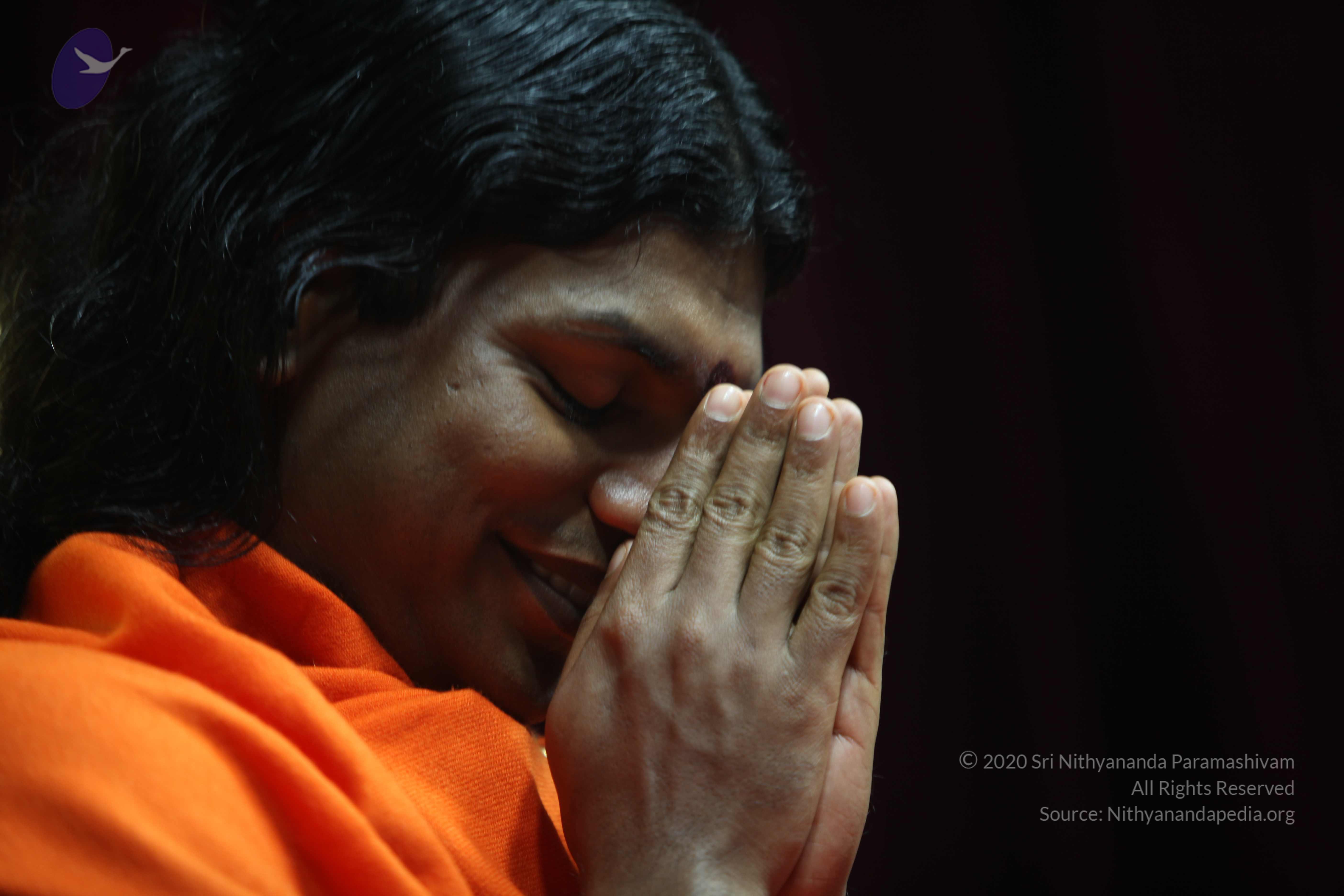 20110122_Photo_1176_IMG_3126_CMP_WM