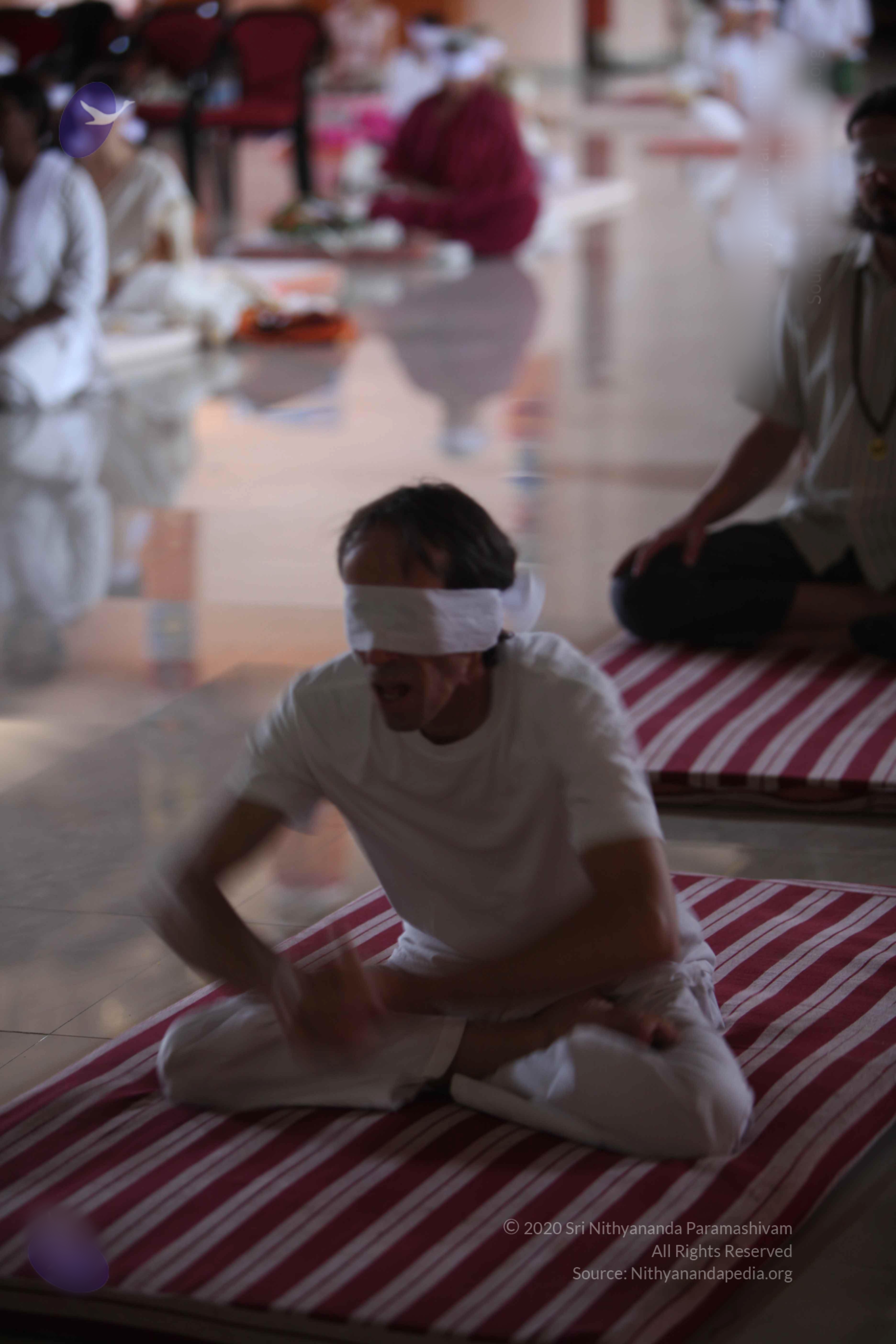 20110122_Photo_1177_batch_IMG_3008_CMP_WM