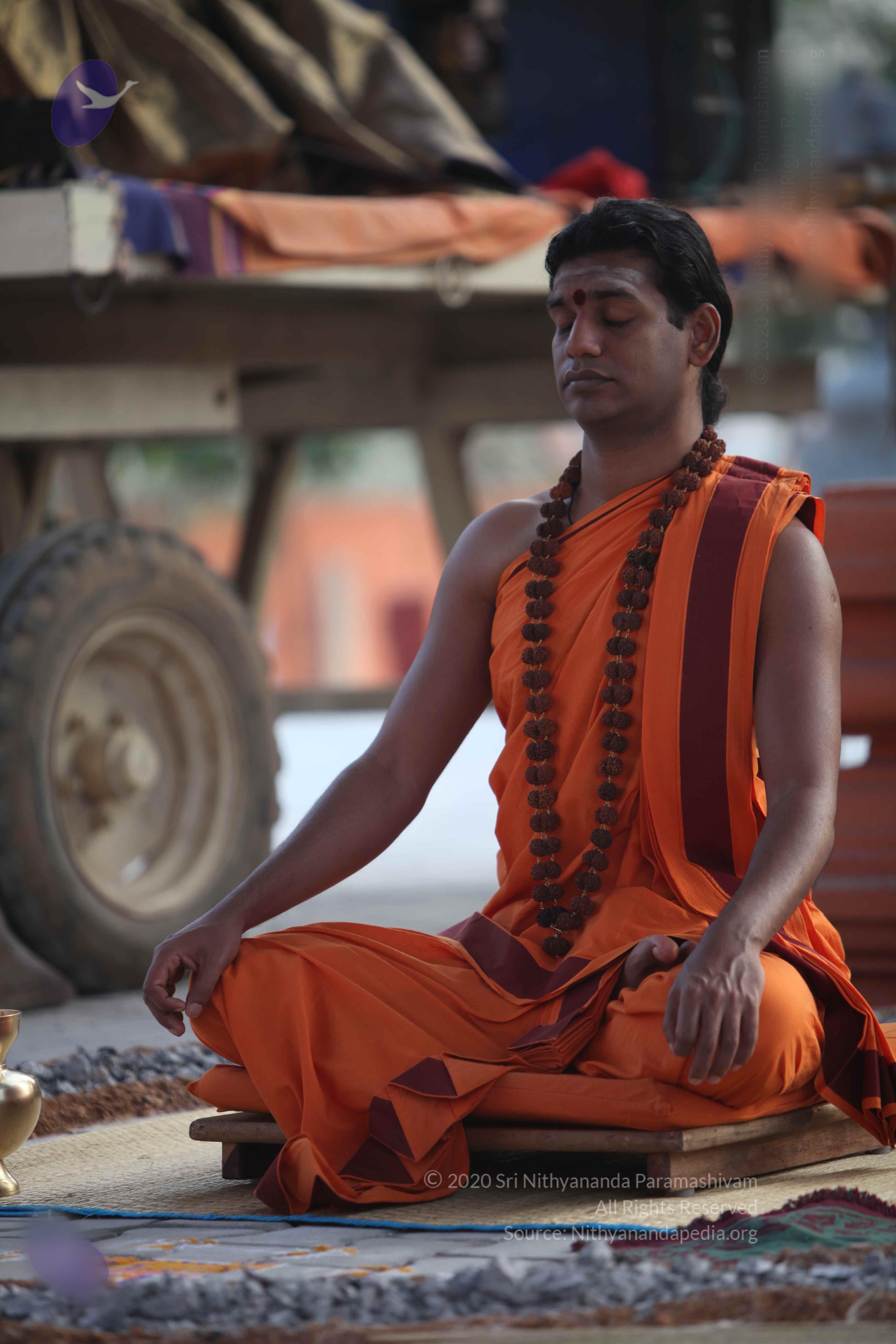 20110122_Photo_1180_IMG_2802_CMP_WM