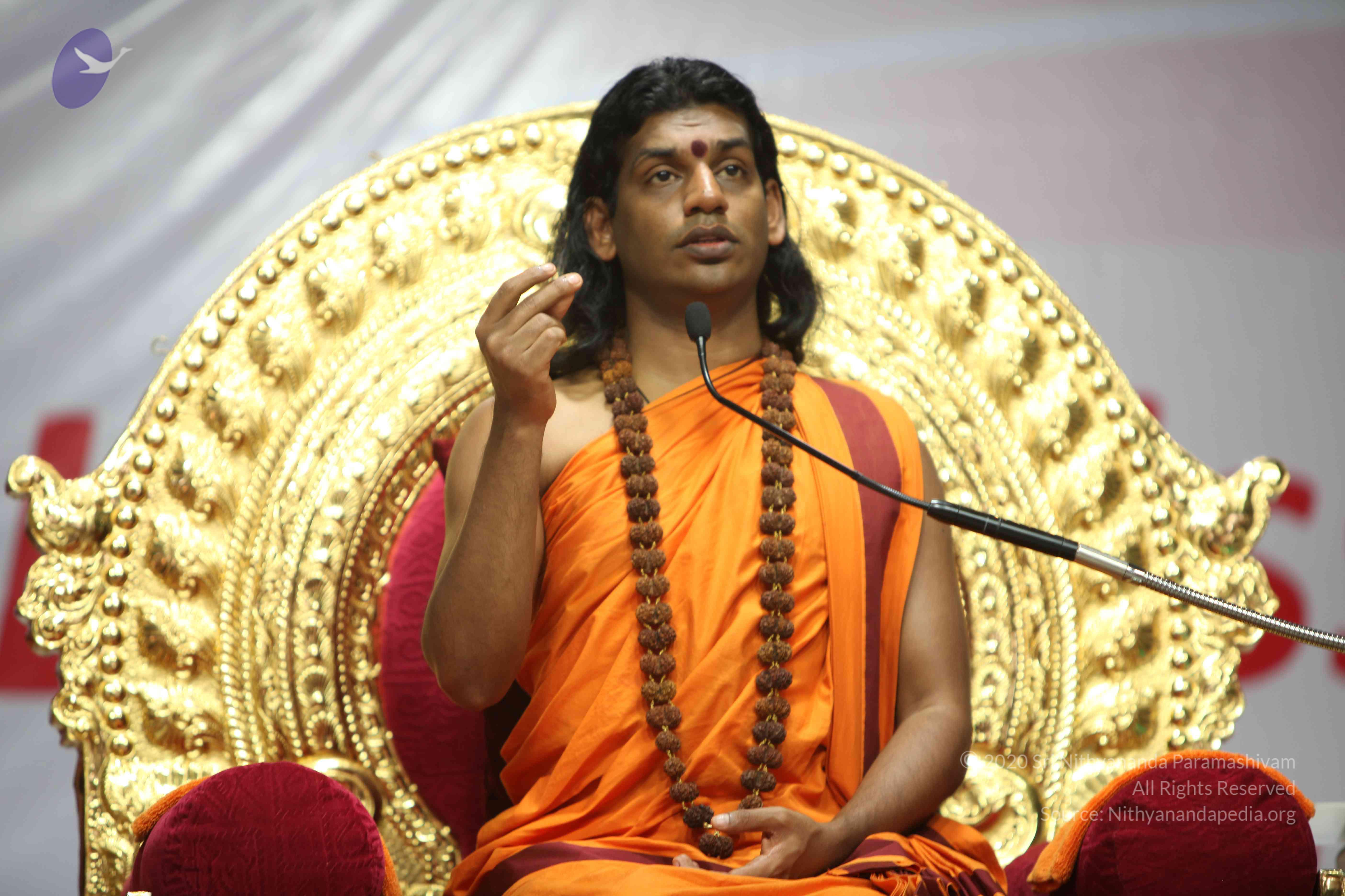 20110122_Photo_1182_IMG_3084_CMP_WM