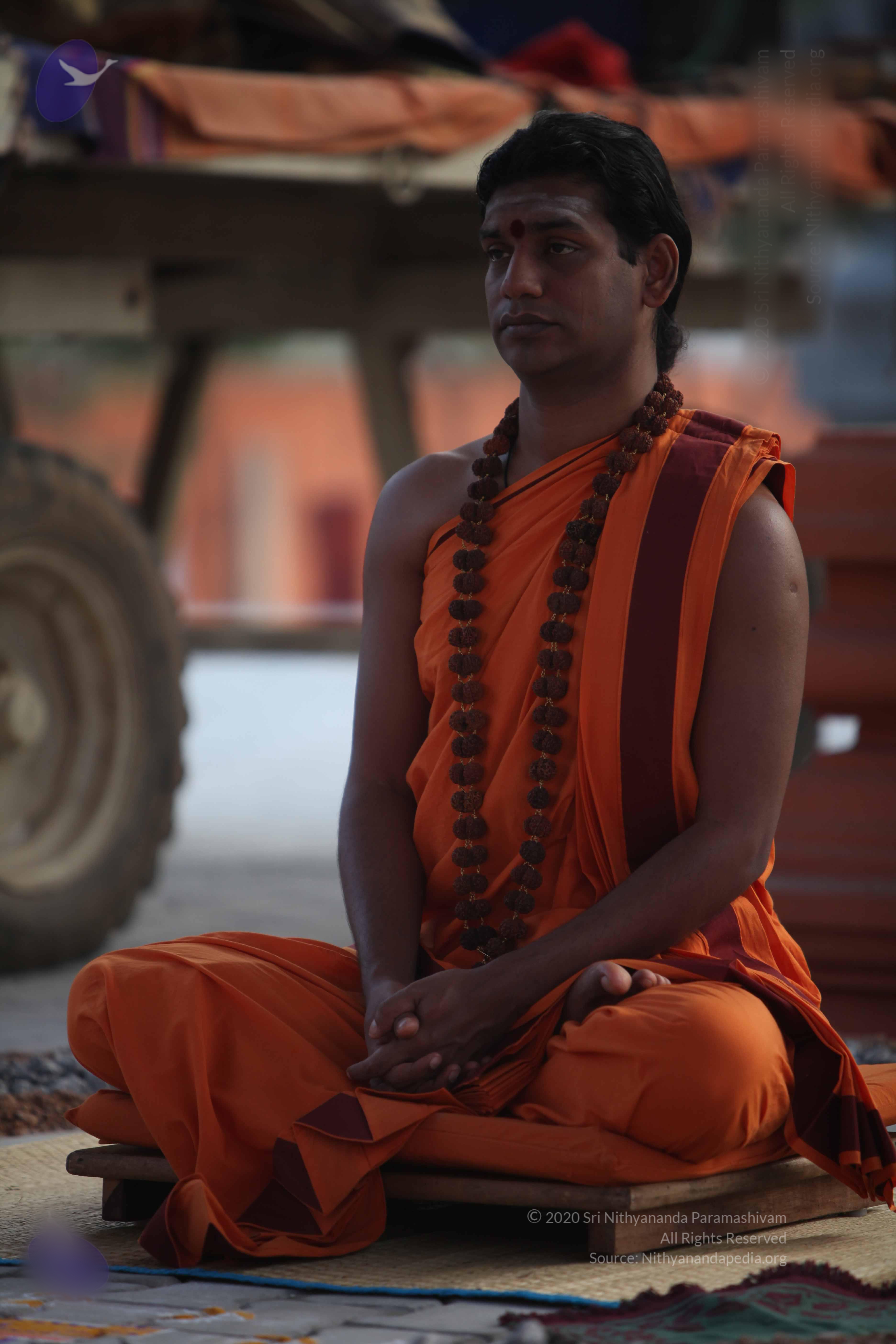 20110122_Photo_1183_IMG_2787_CMP_WM