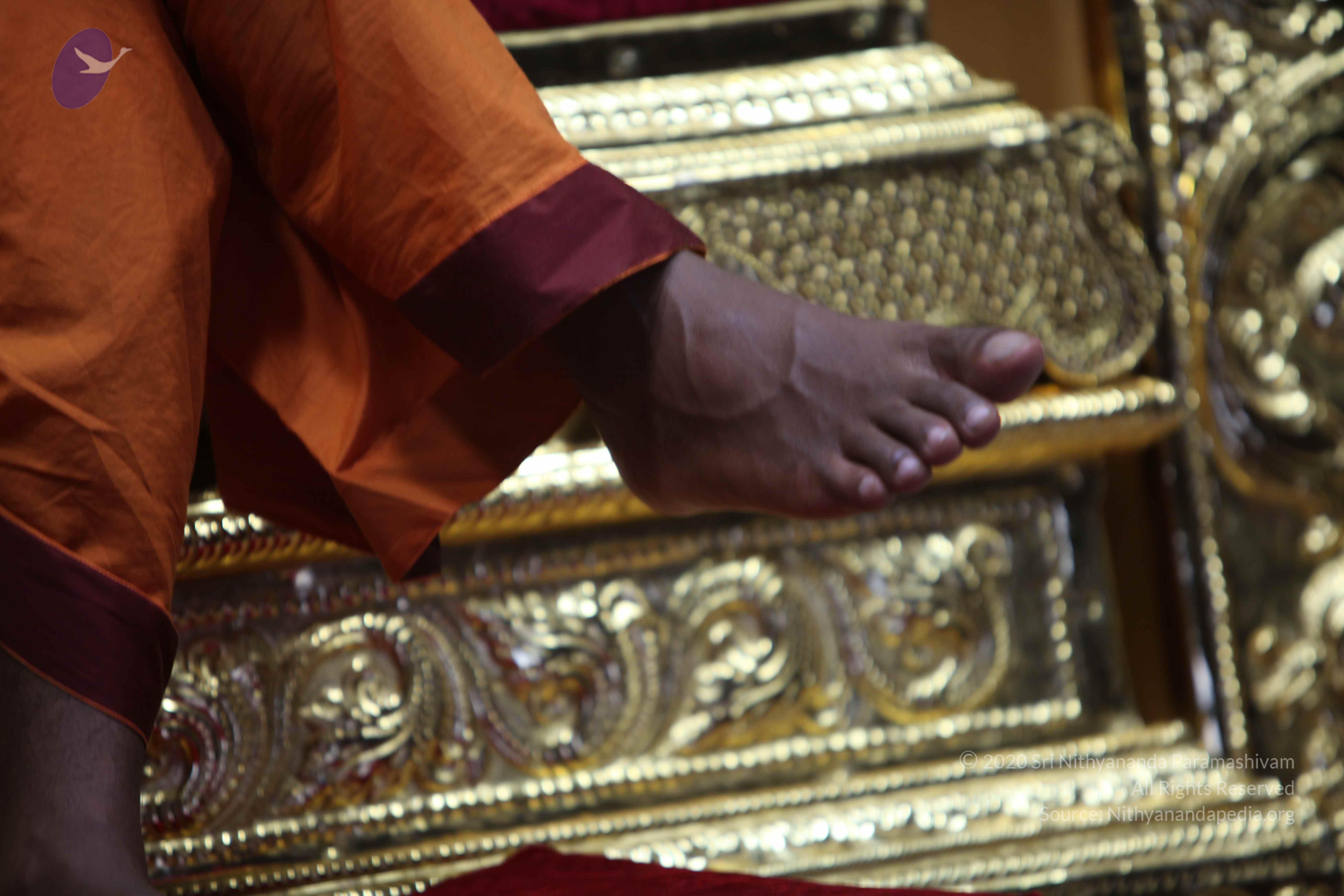 20110122_Photo_1185_IMG_3190_CMP_WM