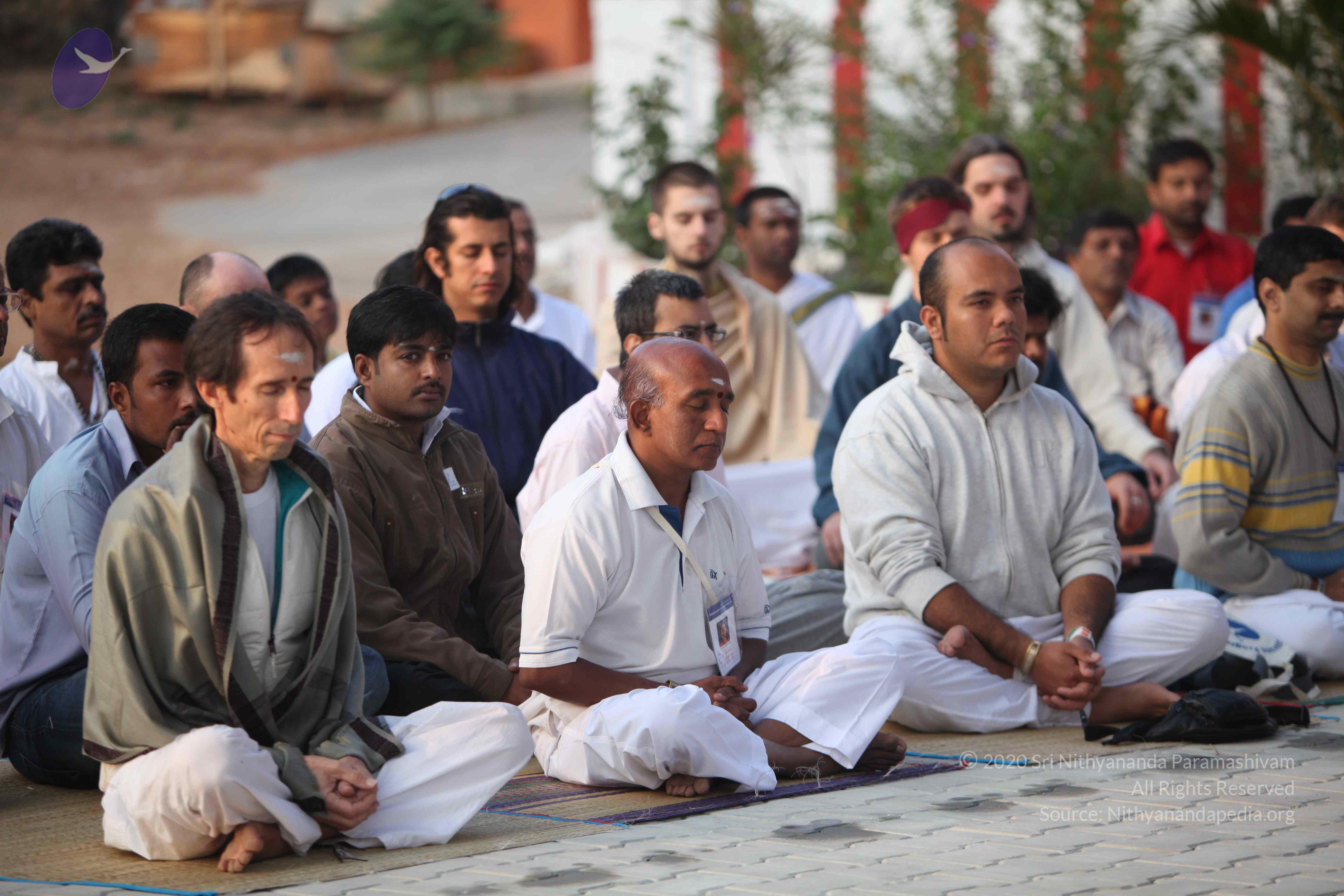 20110122_Photo_1186_IMG_2778_CMP_WM