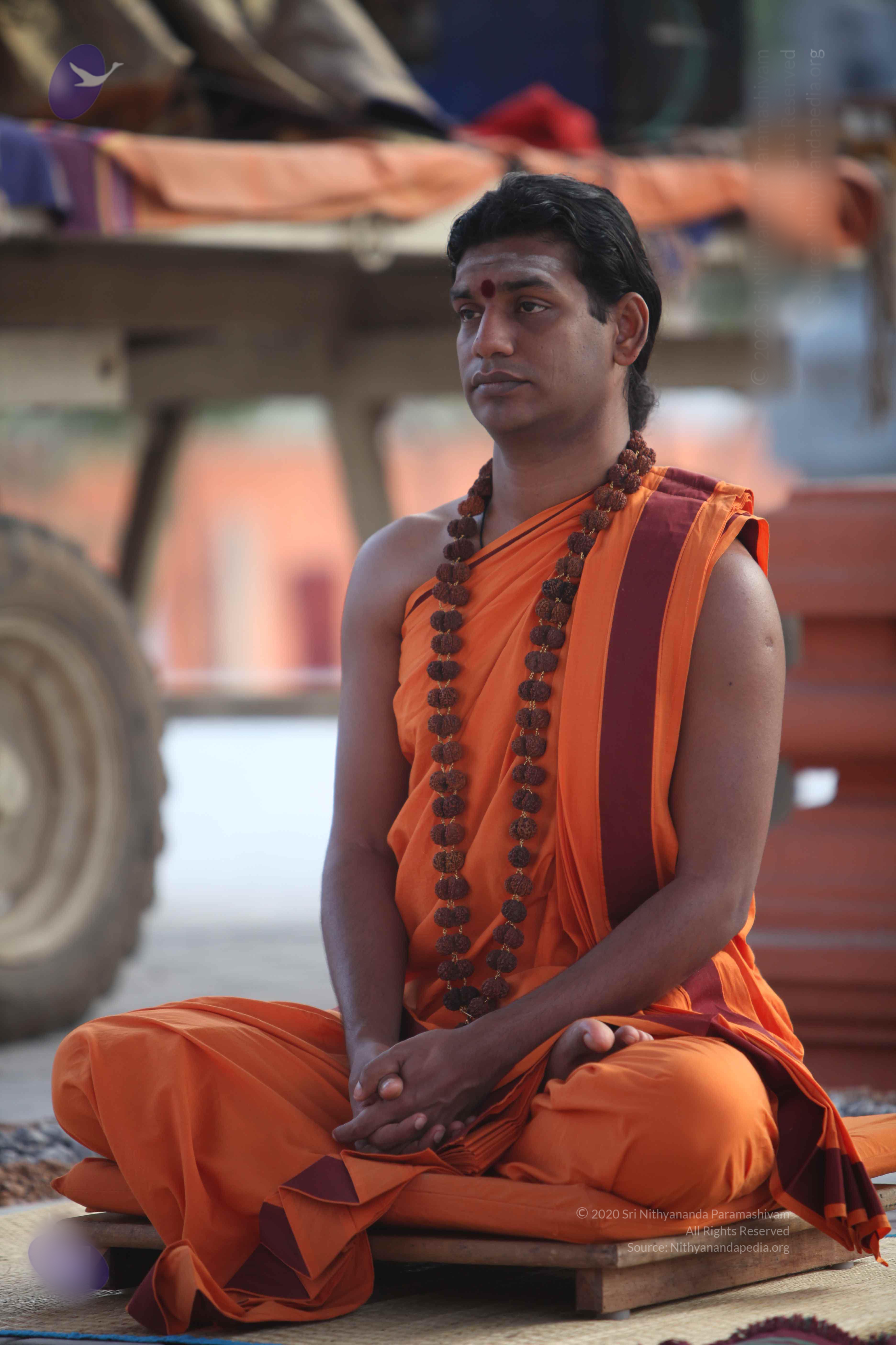 20110122_Photo_1191_IMG_2796_CMP_WM