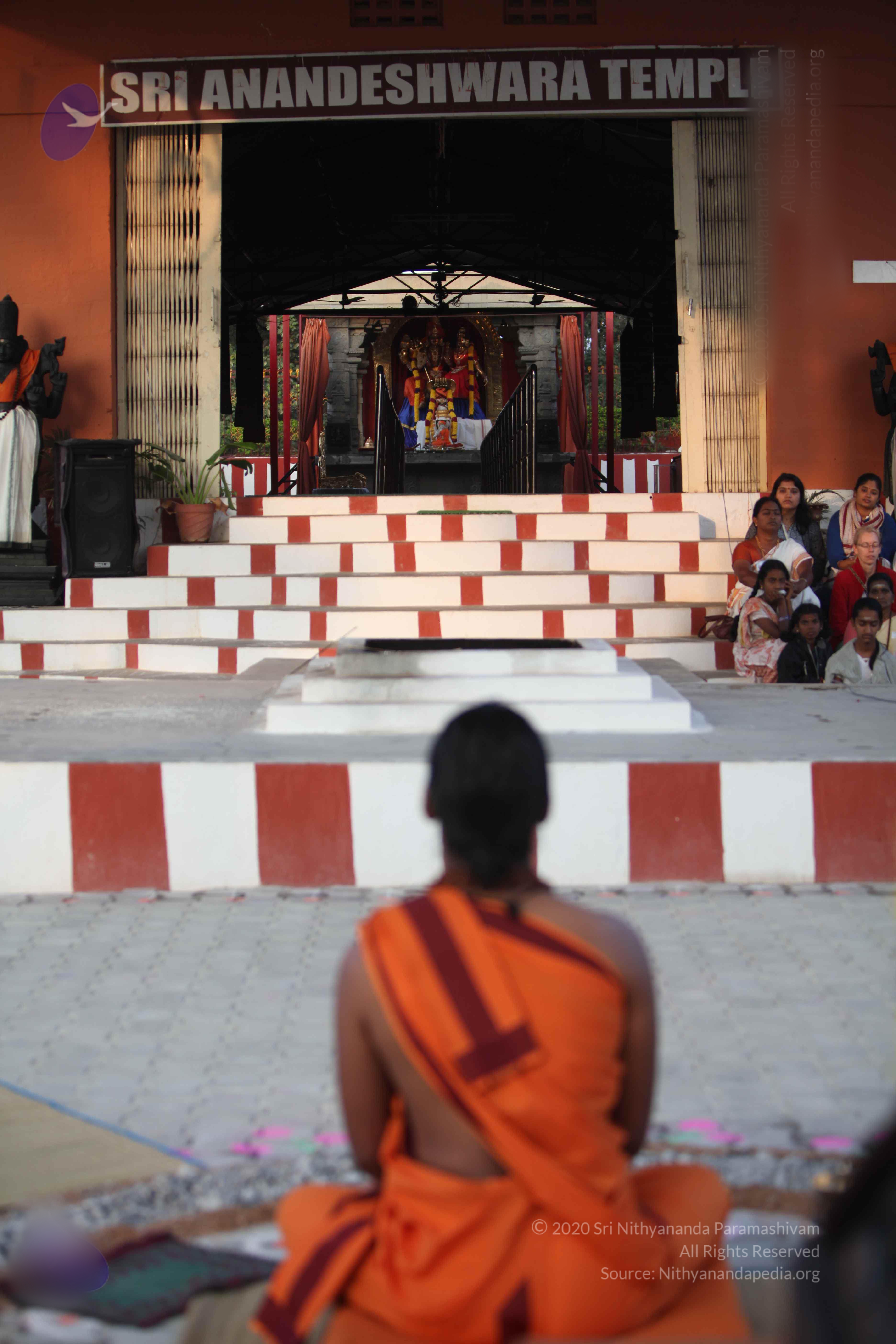 20110122_Photo_1201_IMG_2775_CMP_WM