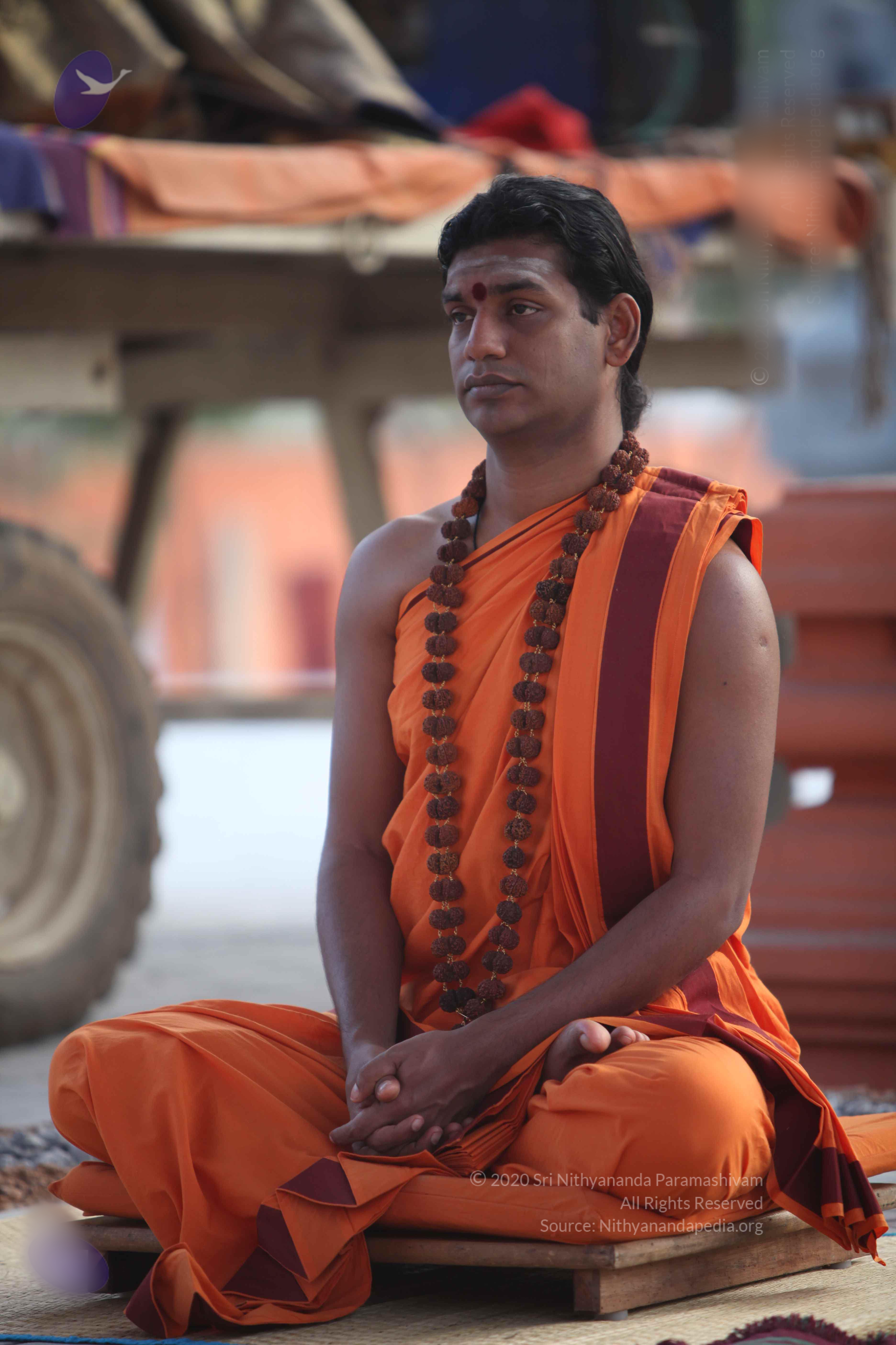 20110122_Photo_1209_IMG_2793_CMP_WM