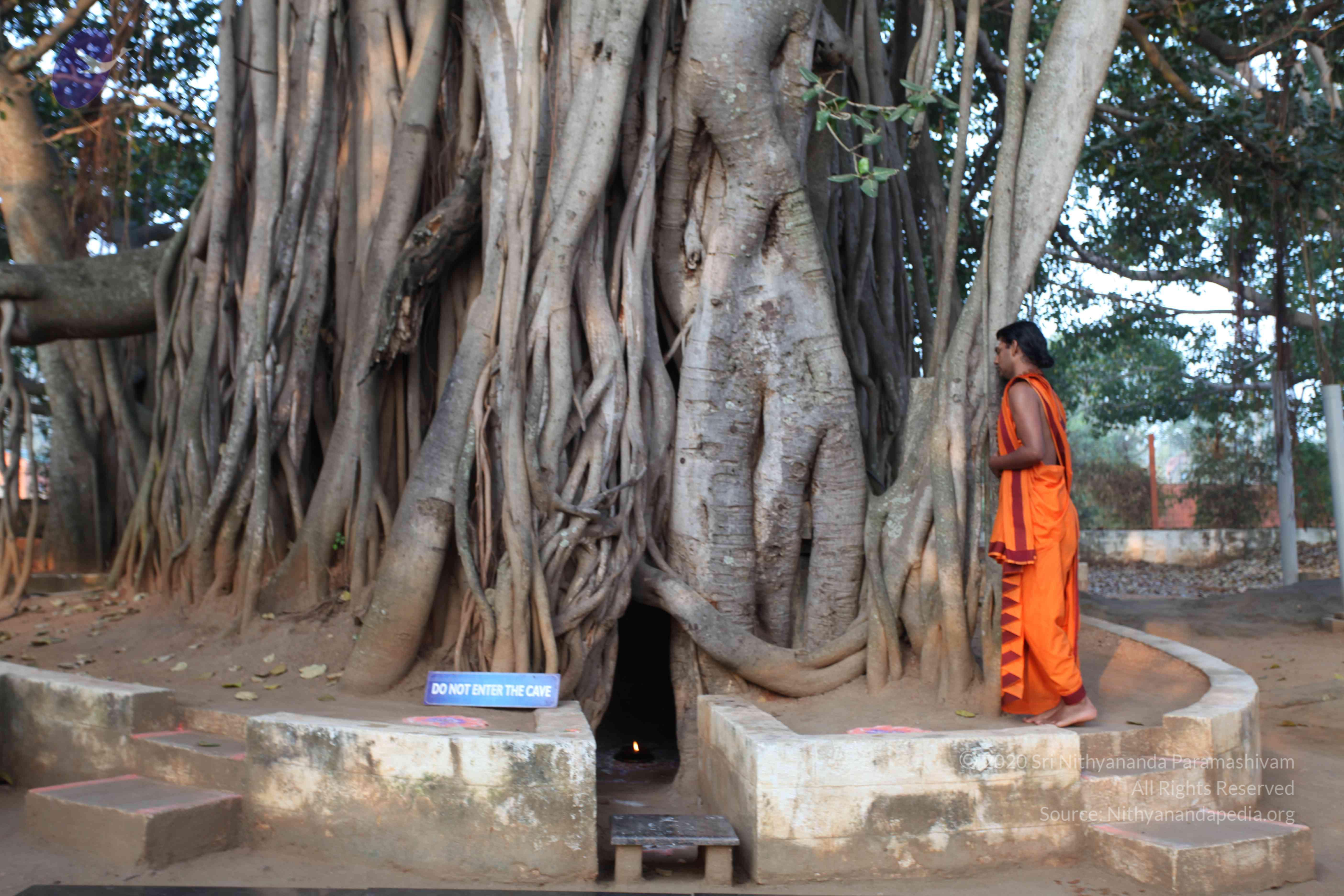 20110122_Photo_1215_IMG_2739_CMP_WM