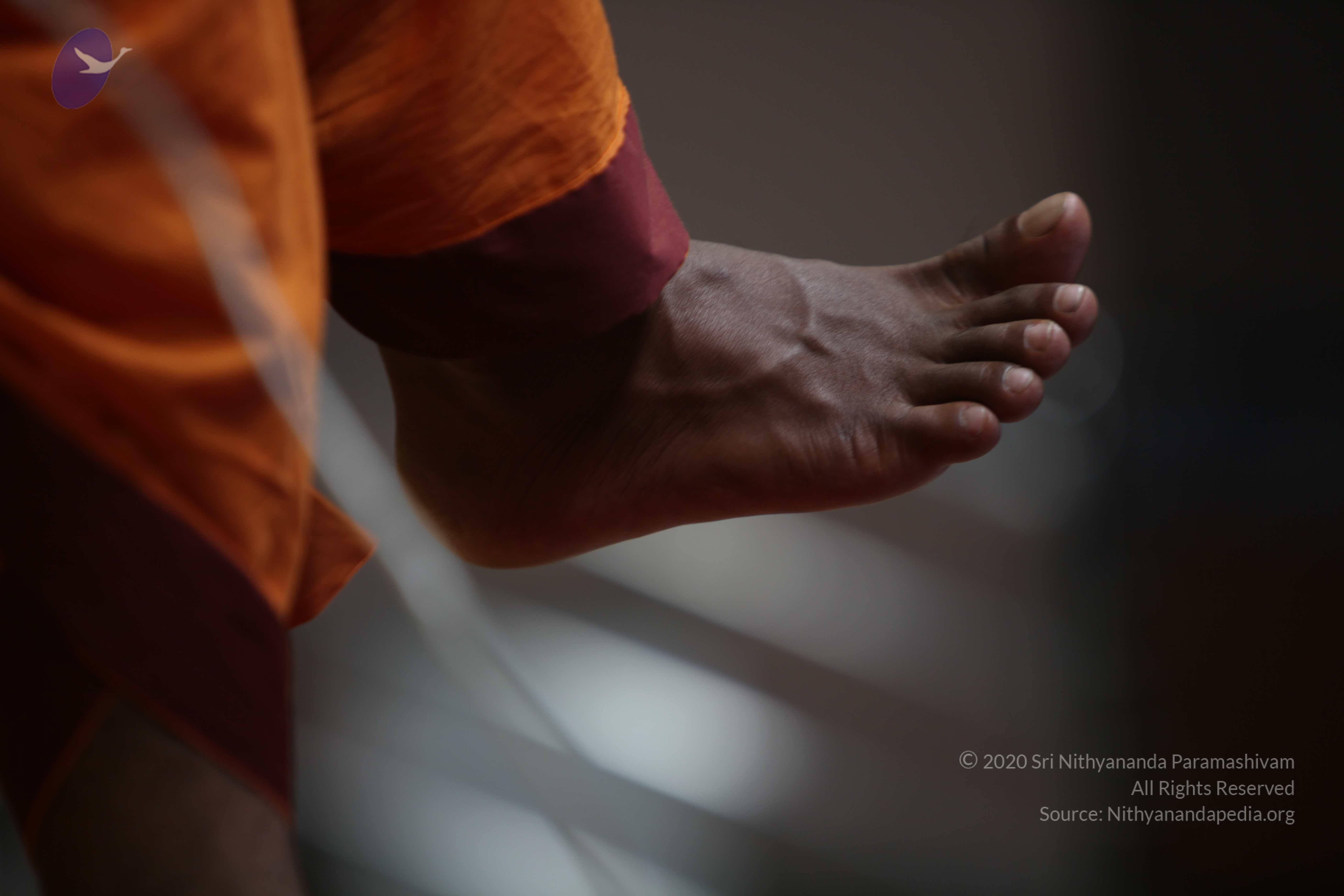 20110122_Photo_1216_IMG_3198_CMP_WM