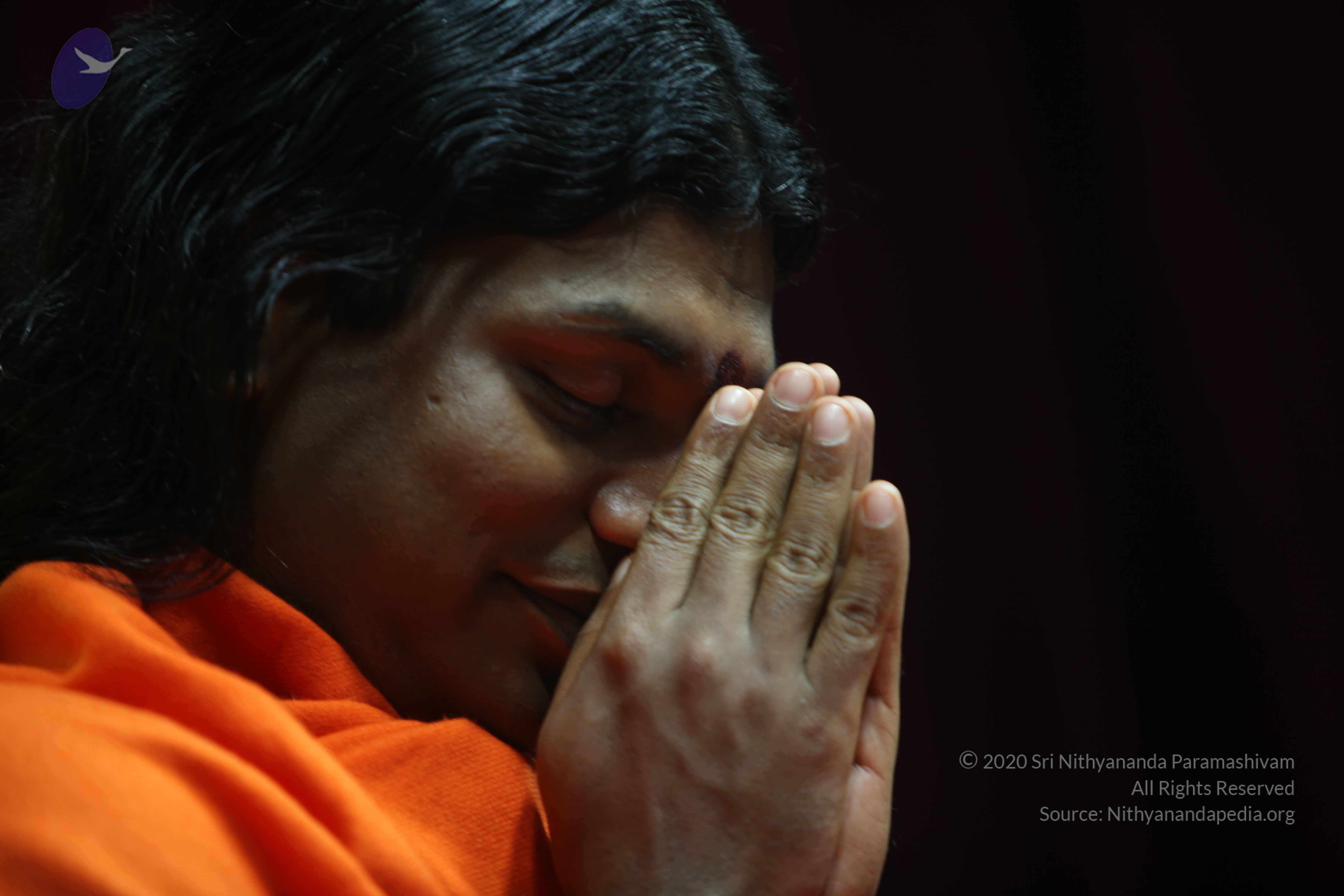 20110122_Photo_1220_IMG_3132_CMP_WM