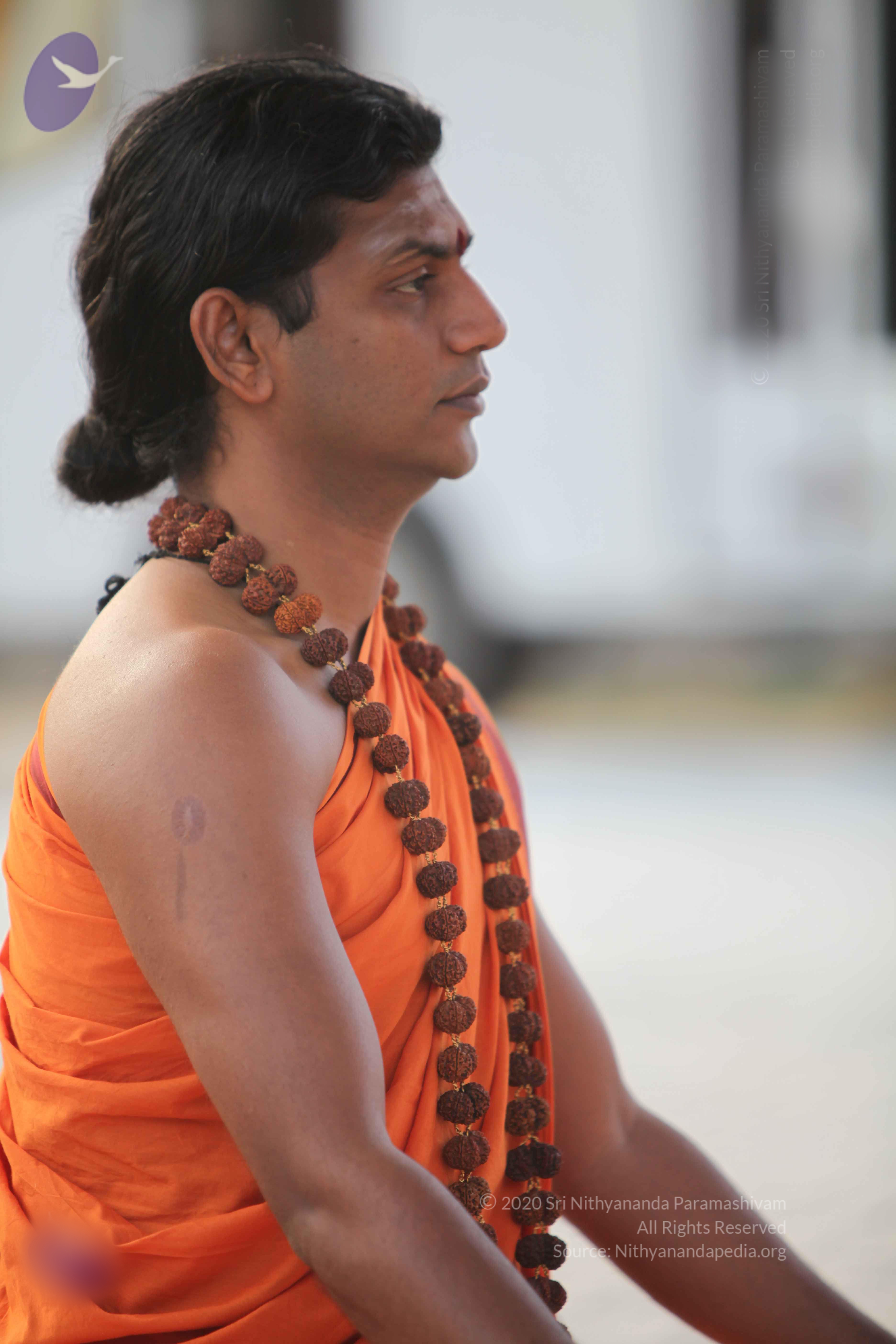 20110122_Photo_1224_IMG_2770_CMP_WM