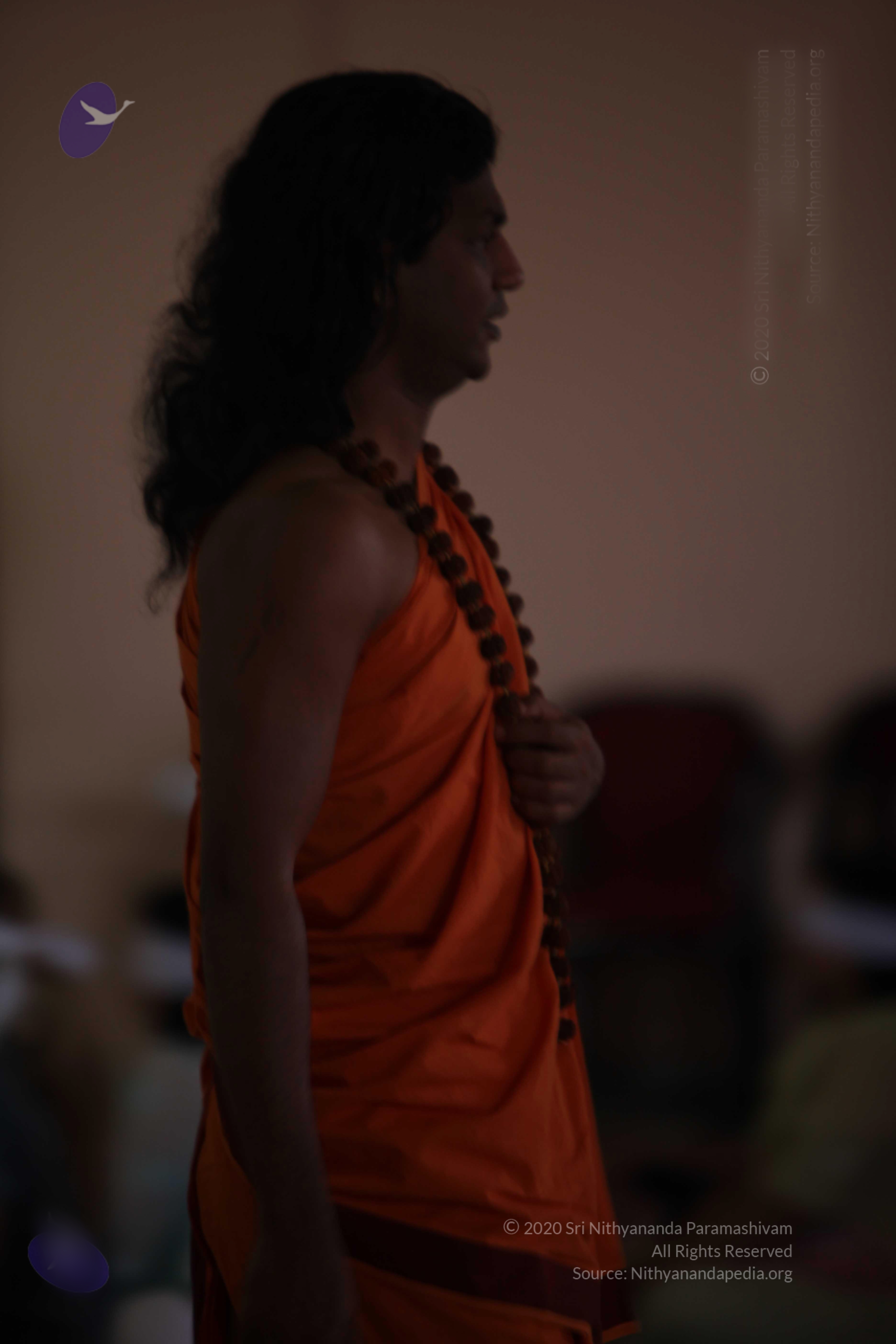 20110122_Photo_1231_batch_IMG_3026_CMP_WM