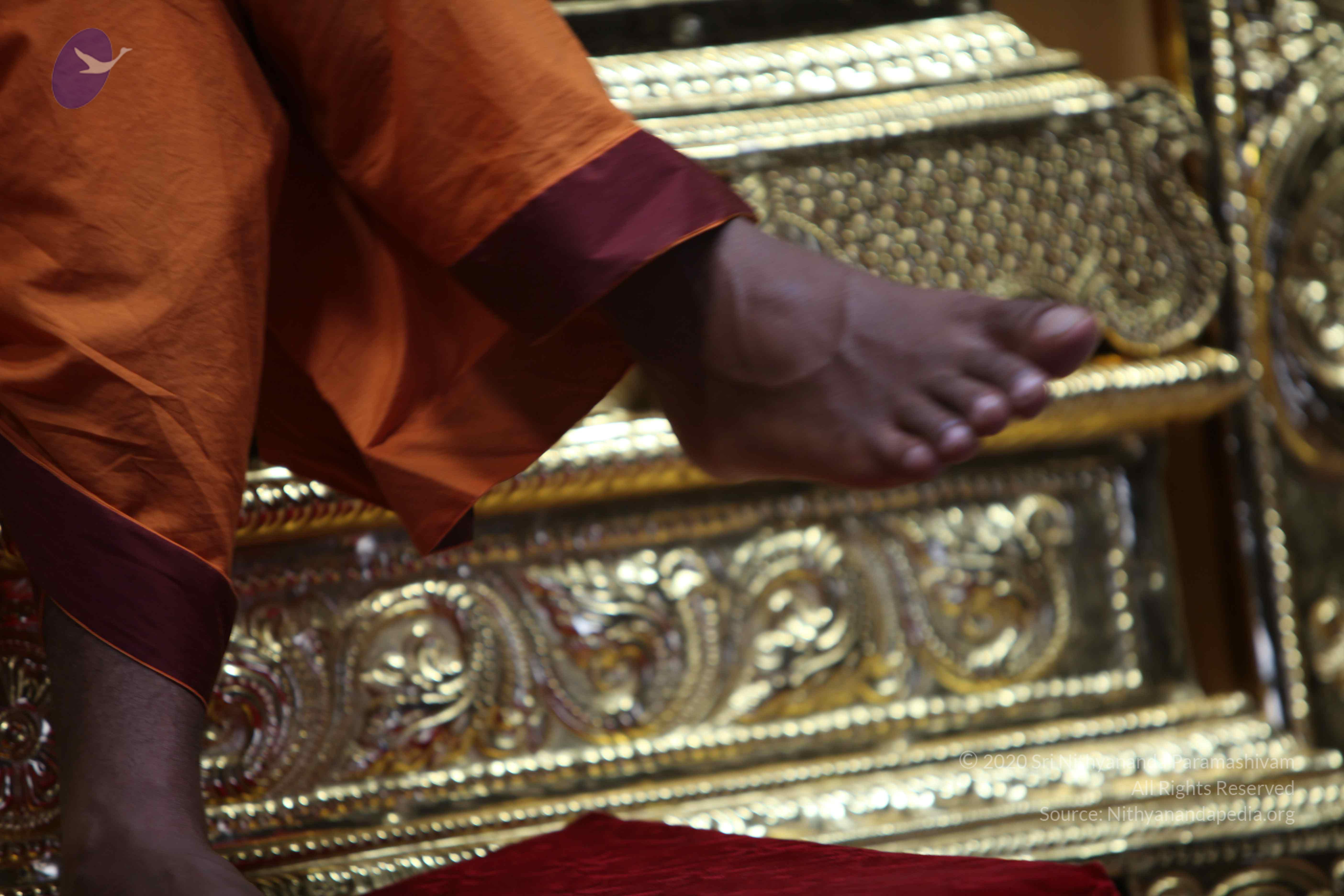 20110122_Photo_1235_IMG_3189_CMP_WM