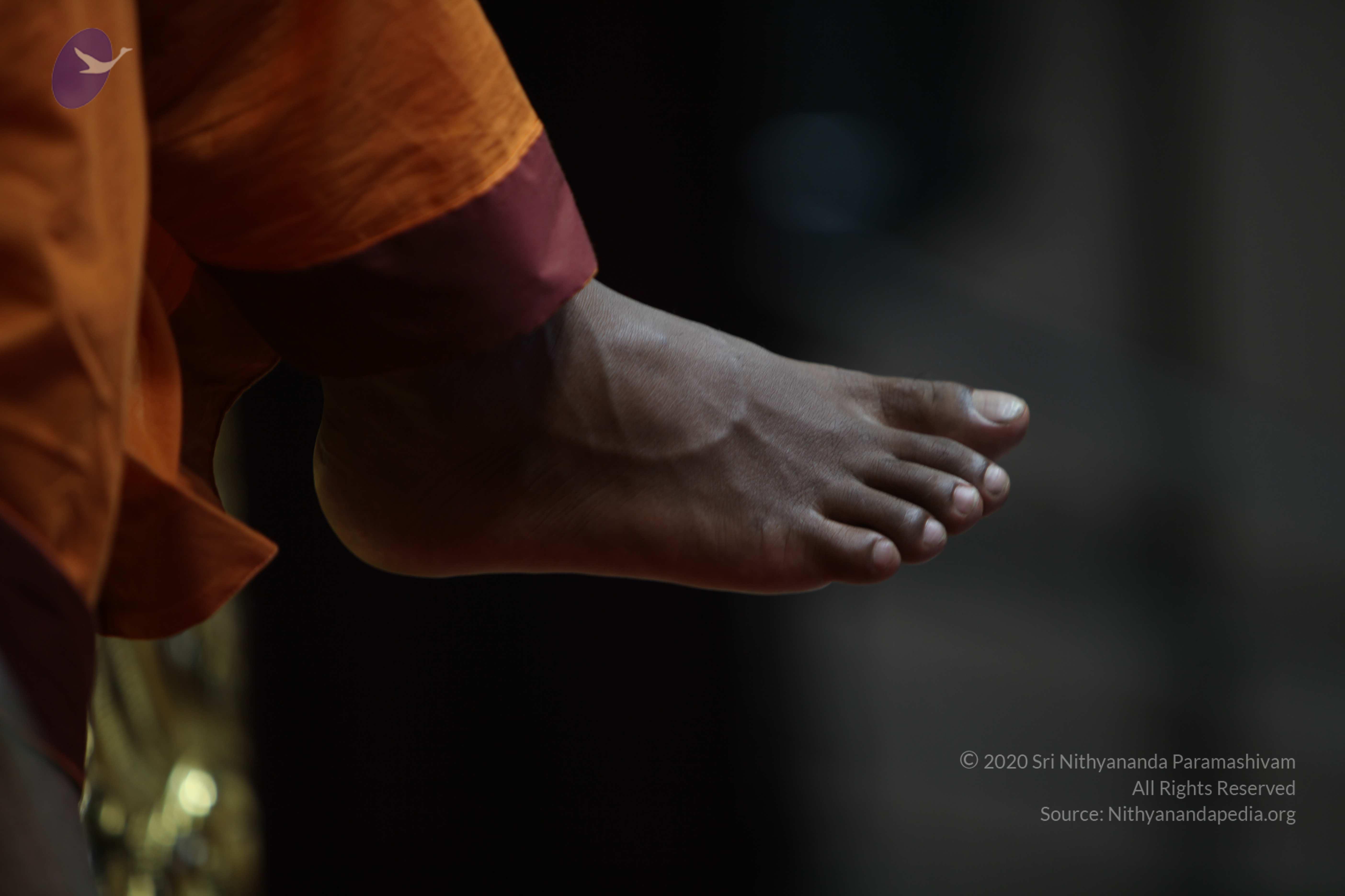 20110122_Photo_1237_IMG_3203_CMP_WM