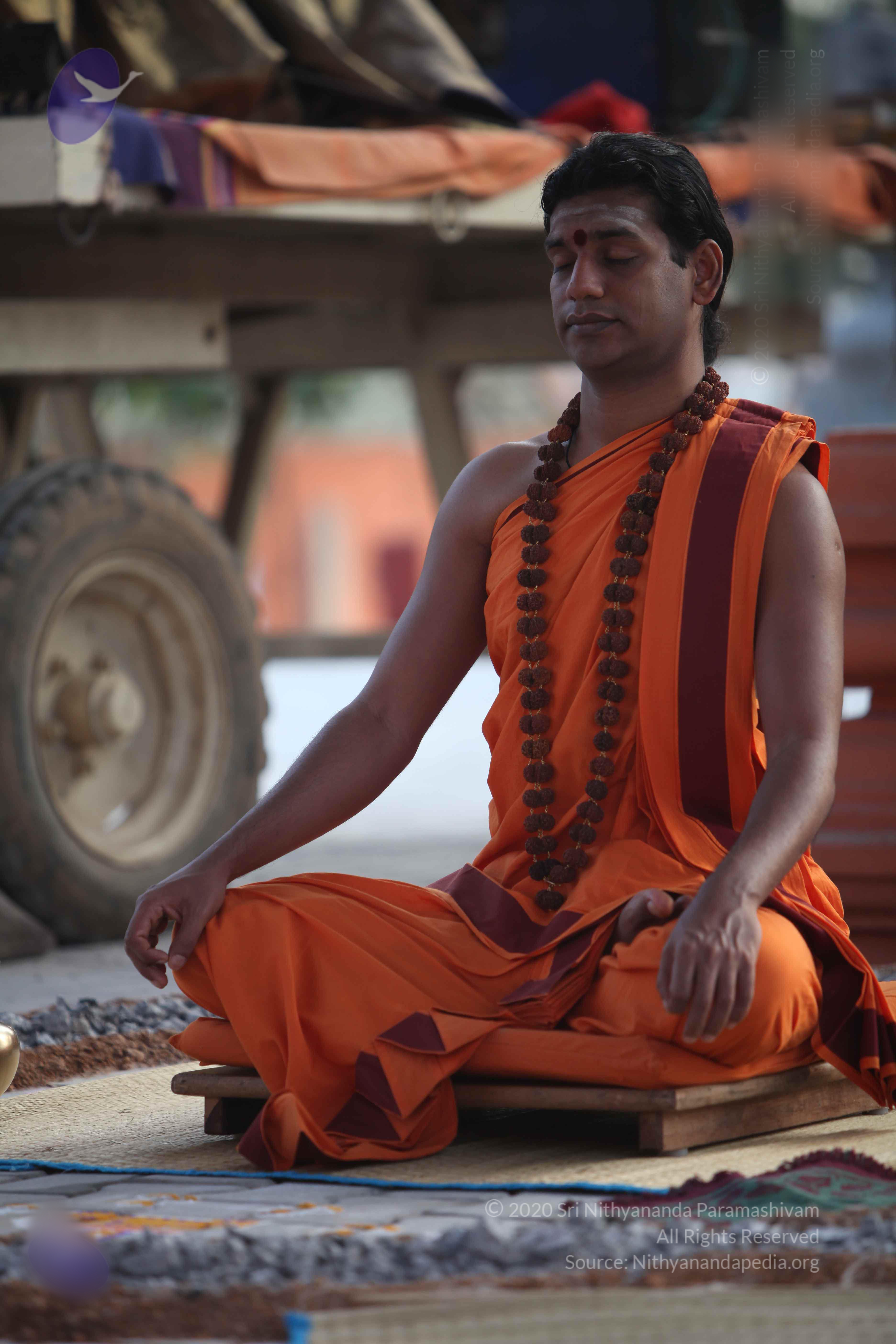 20110122_Photo_1239_IMG_2807_CMP_WM