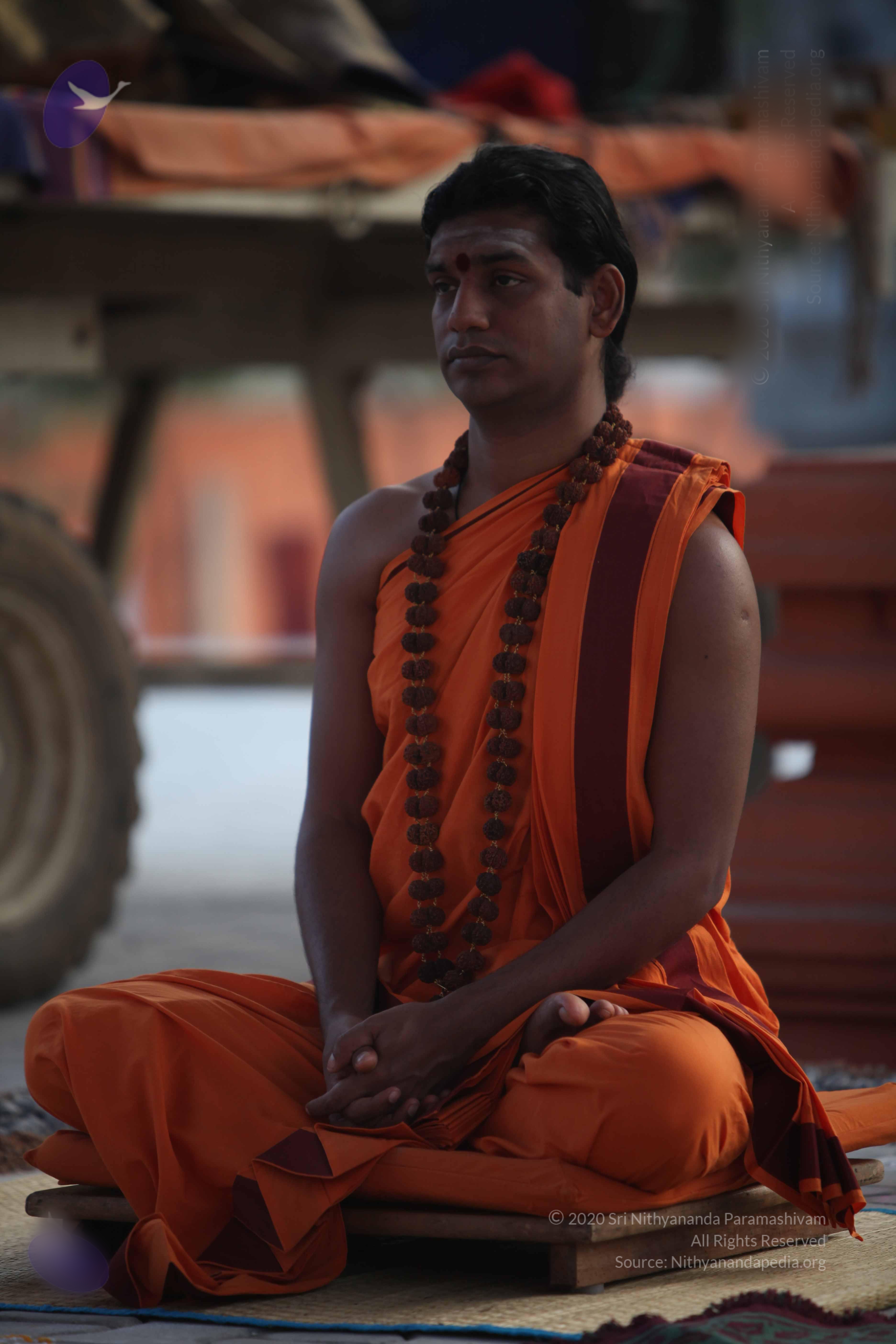 20110122_Photo_1242_IMG_2782_CMP_WM