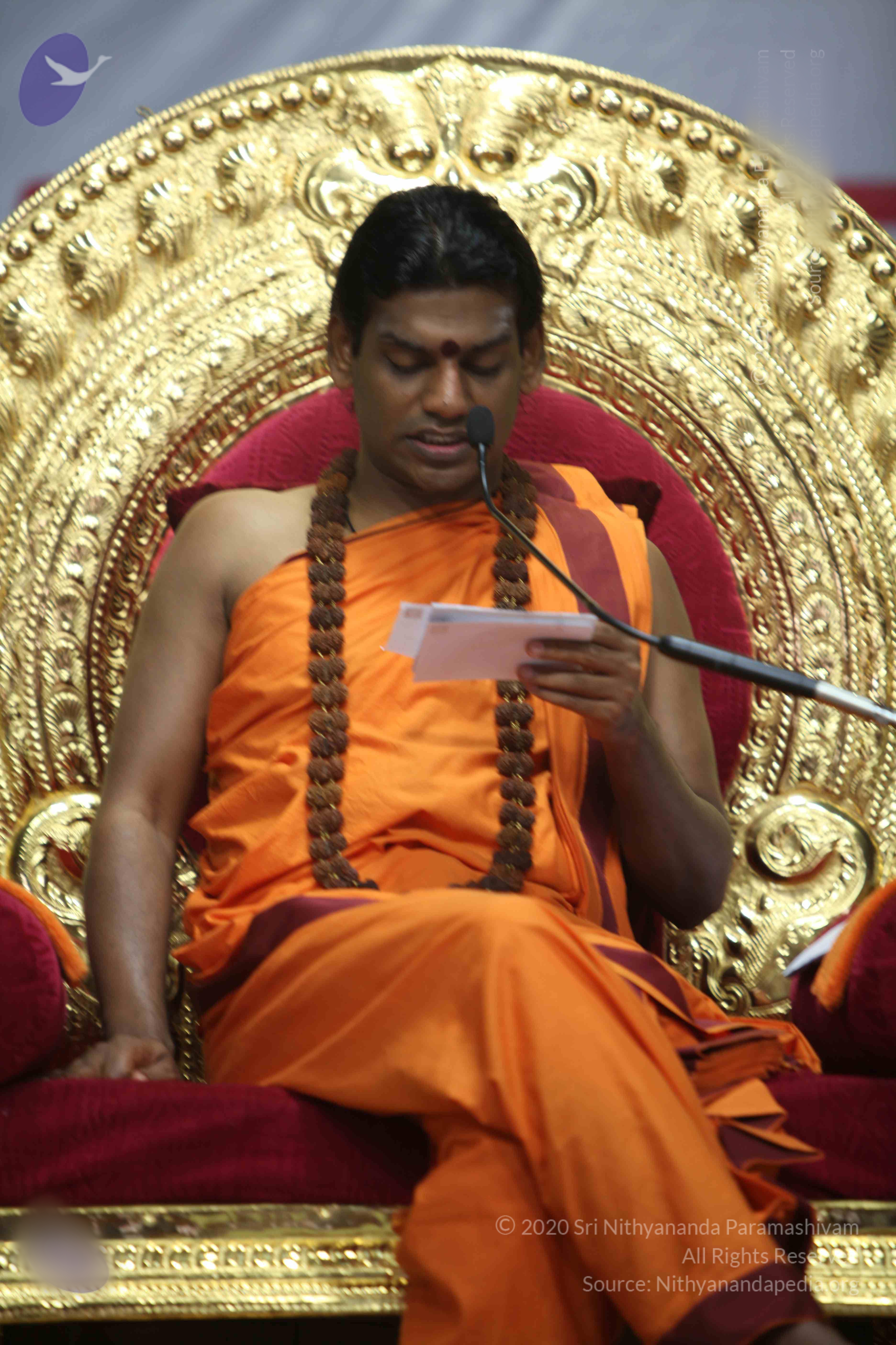 20110122_Photo_1246_IMG_2914_CMP_WM