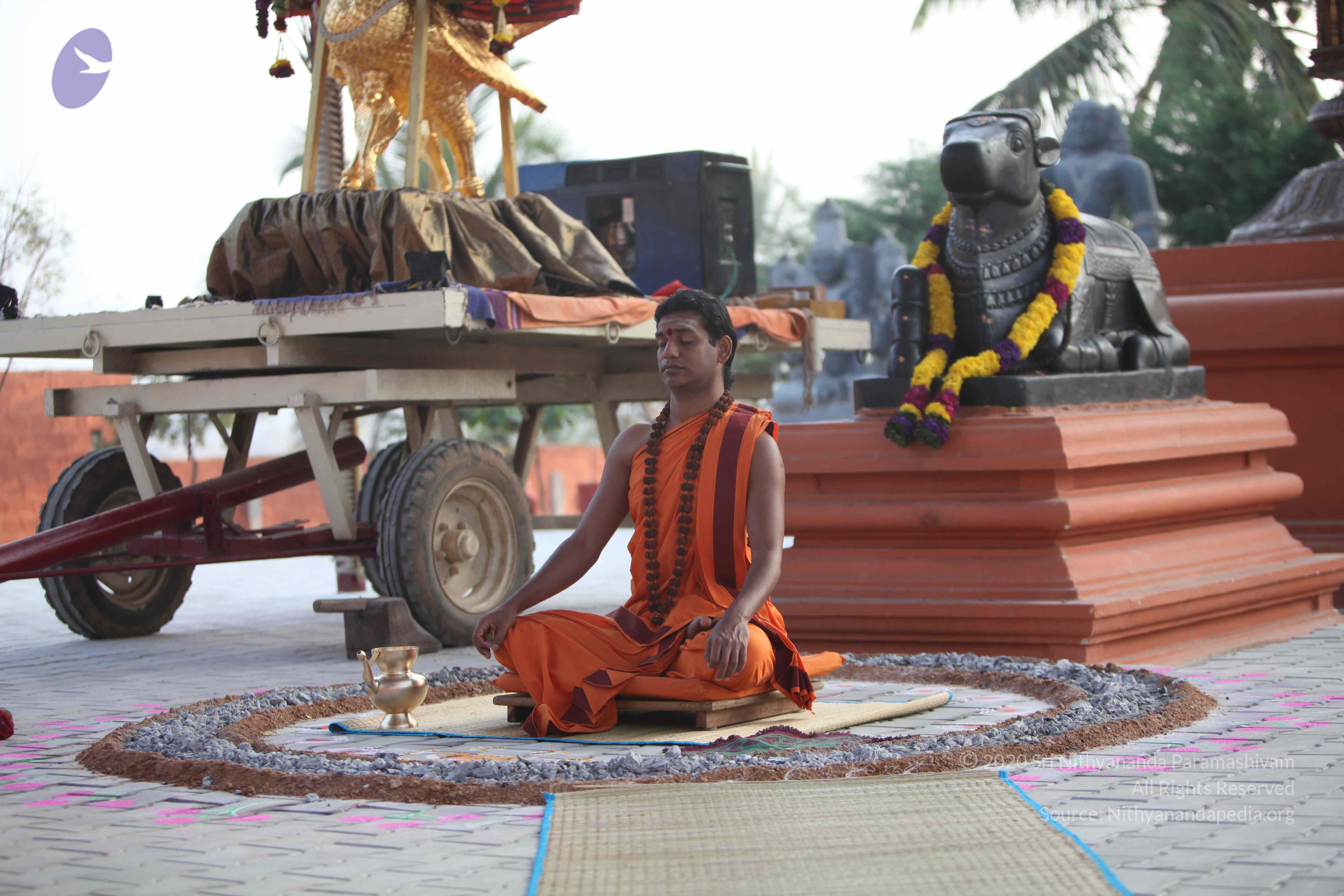 20110122_Photo_1248_IMG_2800_CMP_WM