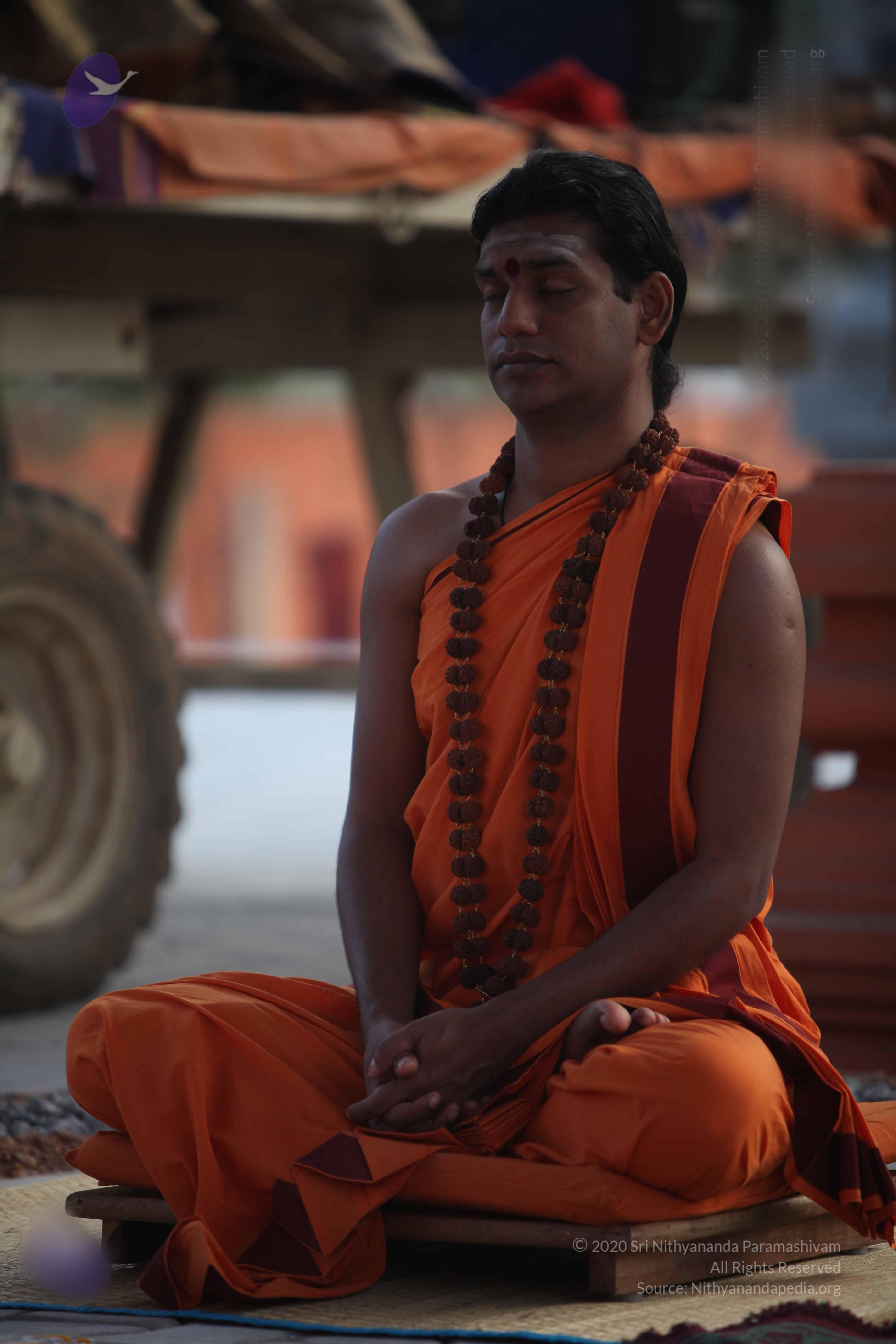 20110122_Photo_1250_IMG_2785_CMP_WM