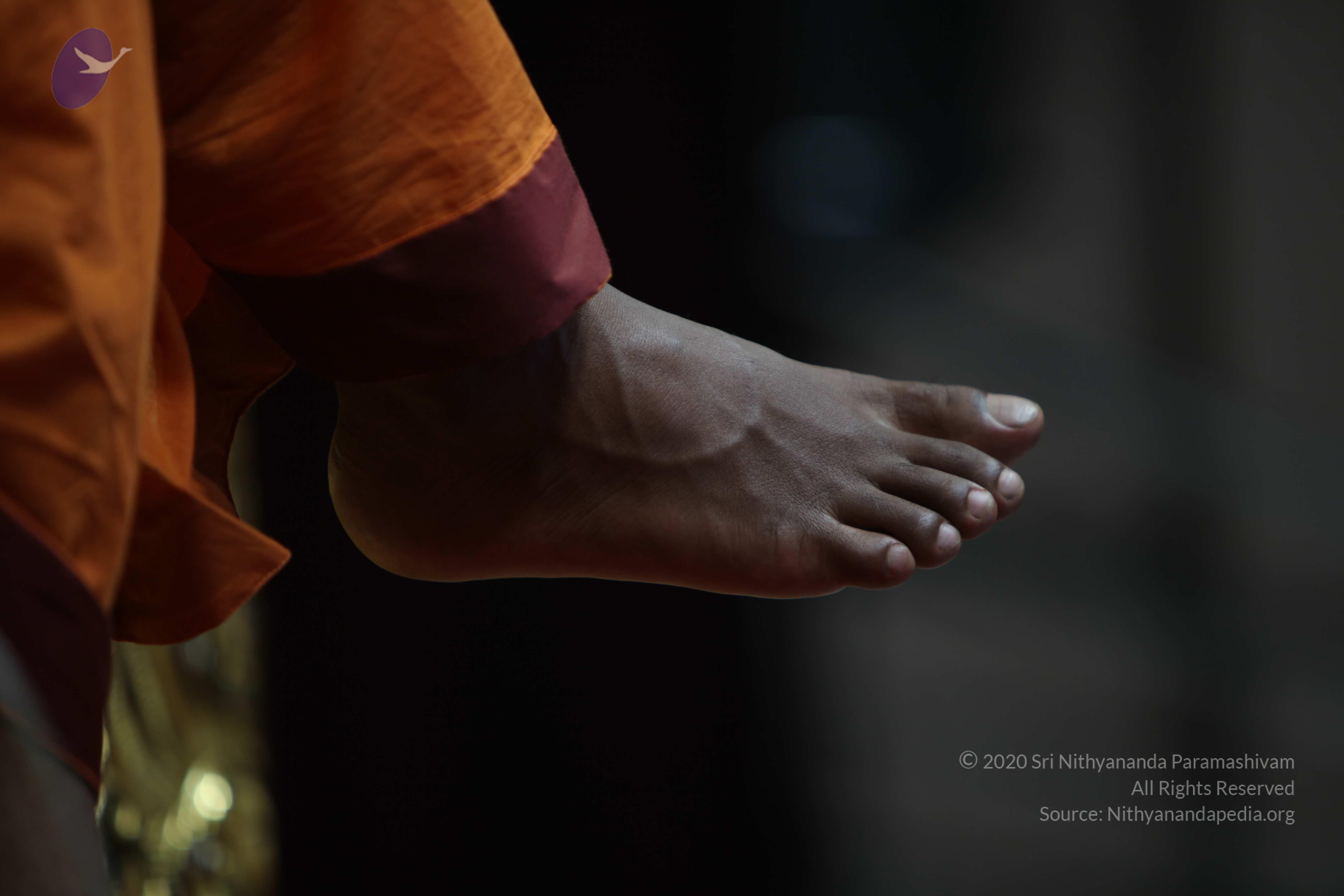 20110122_Photo_1254_IMG_3204_CMP_WM