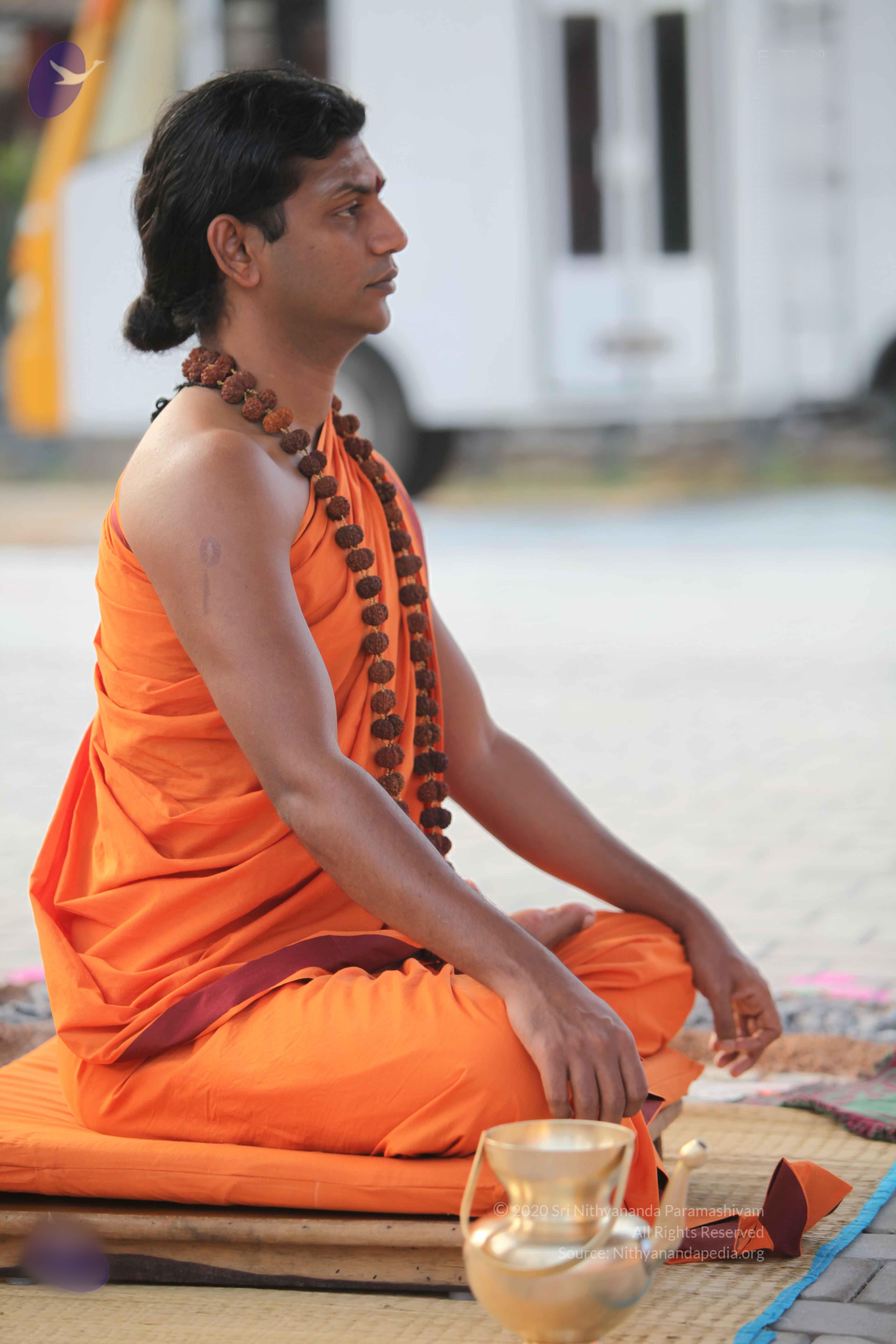 20110122_Photo_1260_IMG_2766_CMP_WM