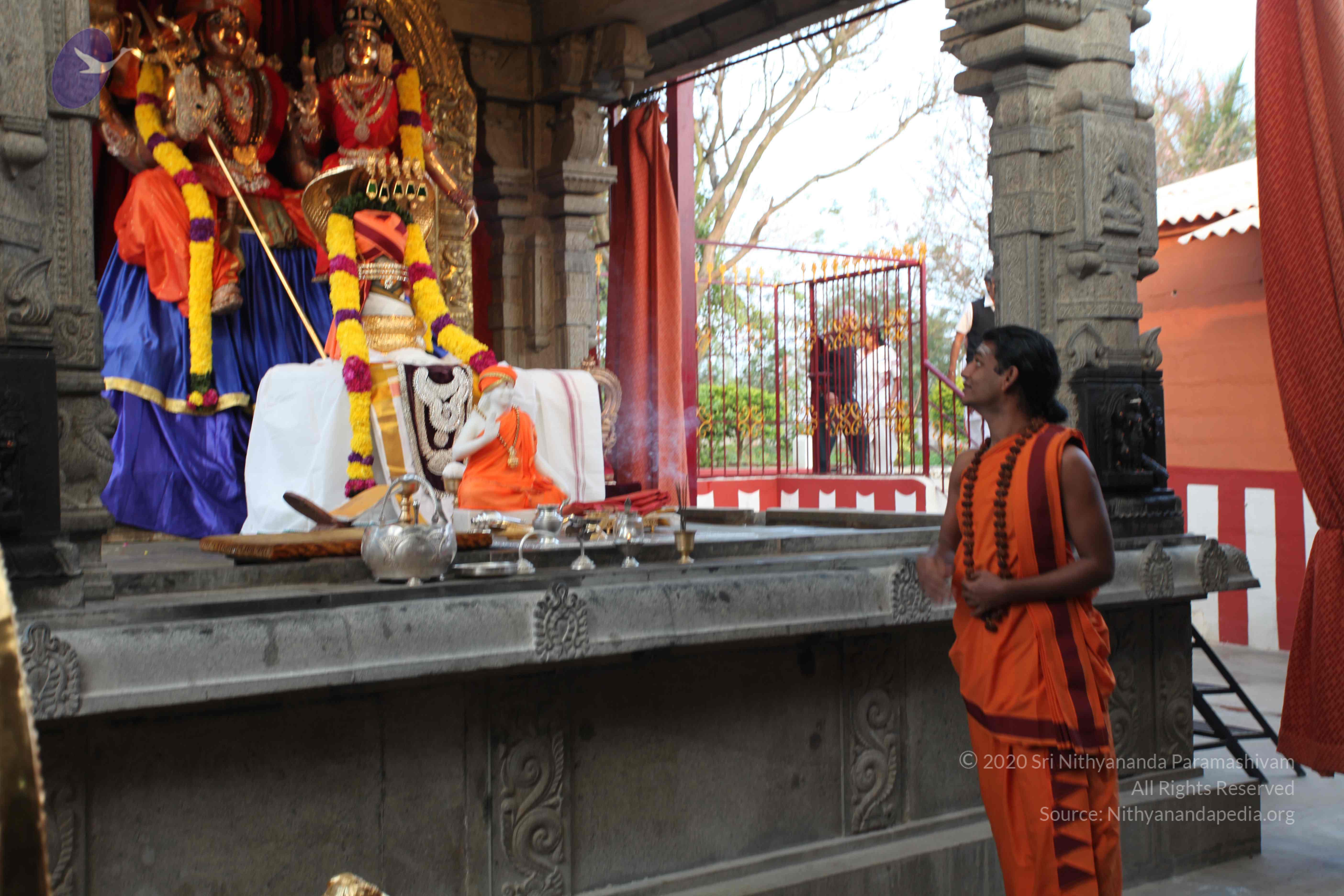 20110122_Photo_1264_IMG_2733_CMP_WM