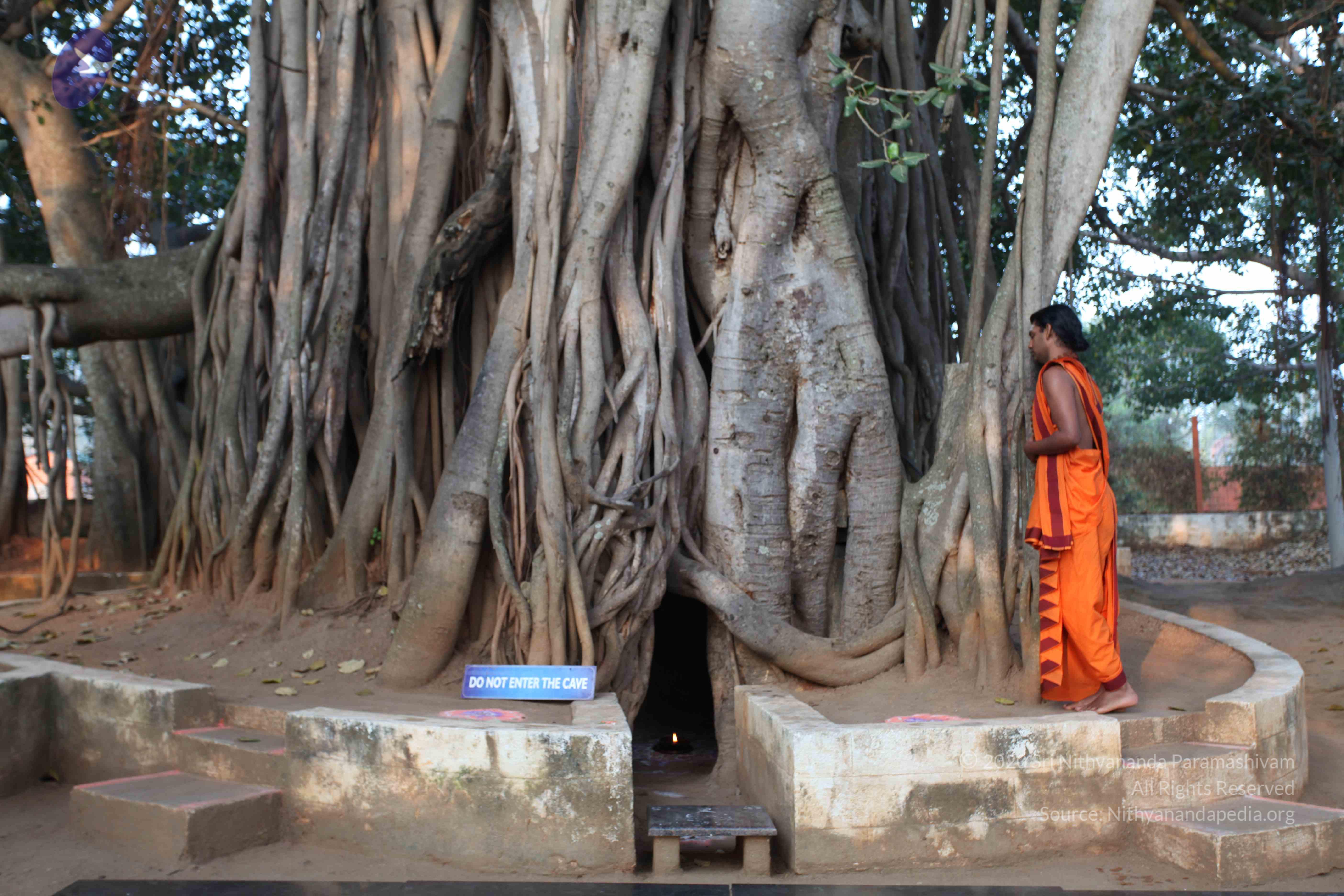 20110122_Photo_1268_IMG_2740_CMP_WM