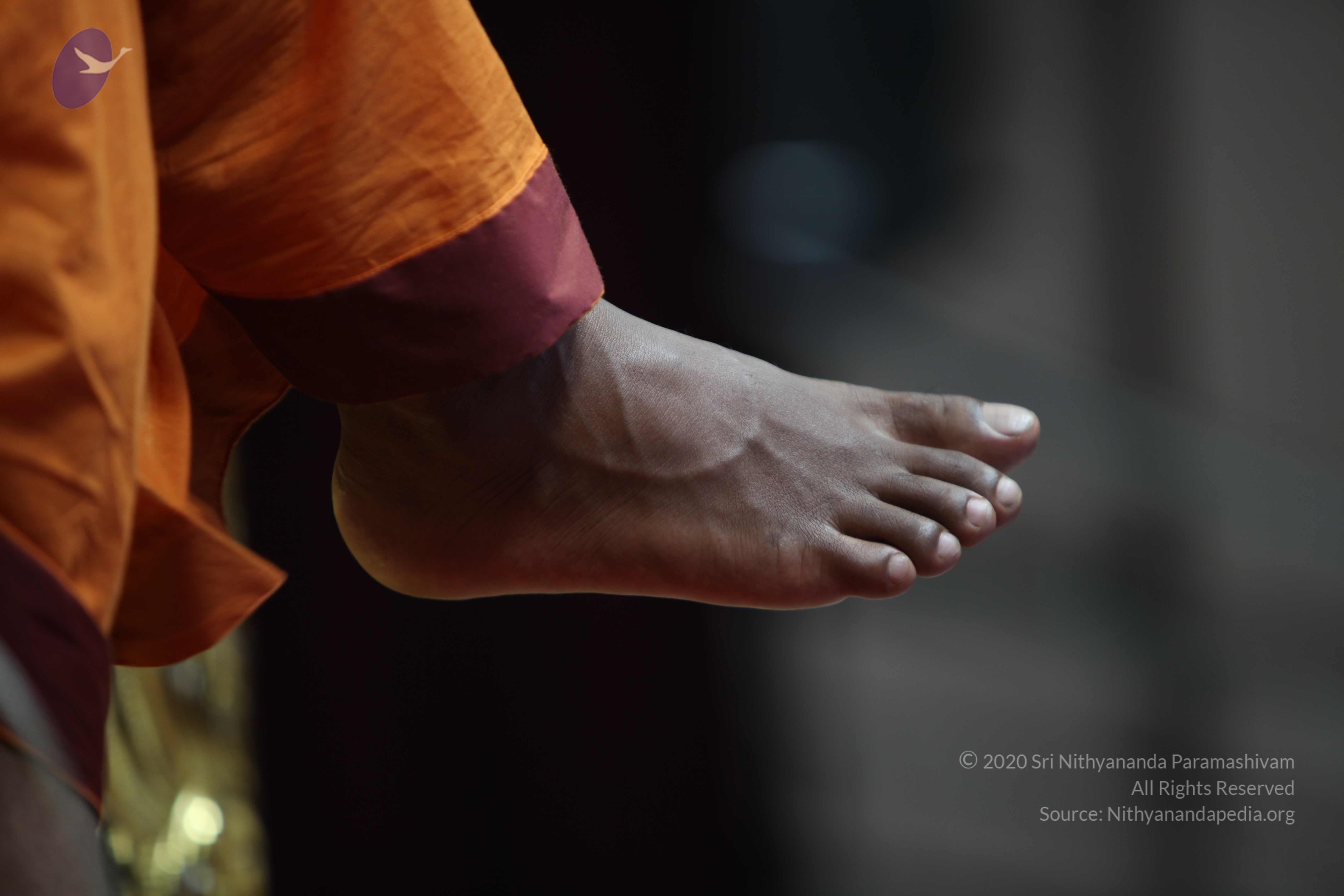 20110122_Photo_1269_IMG_3209_CMP_WM