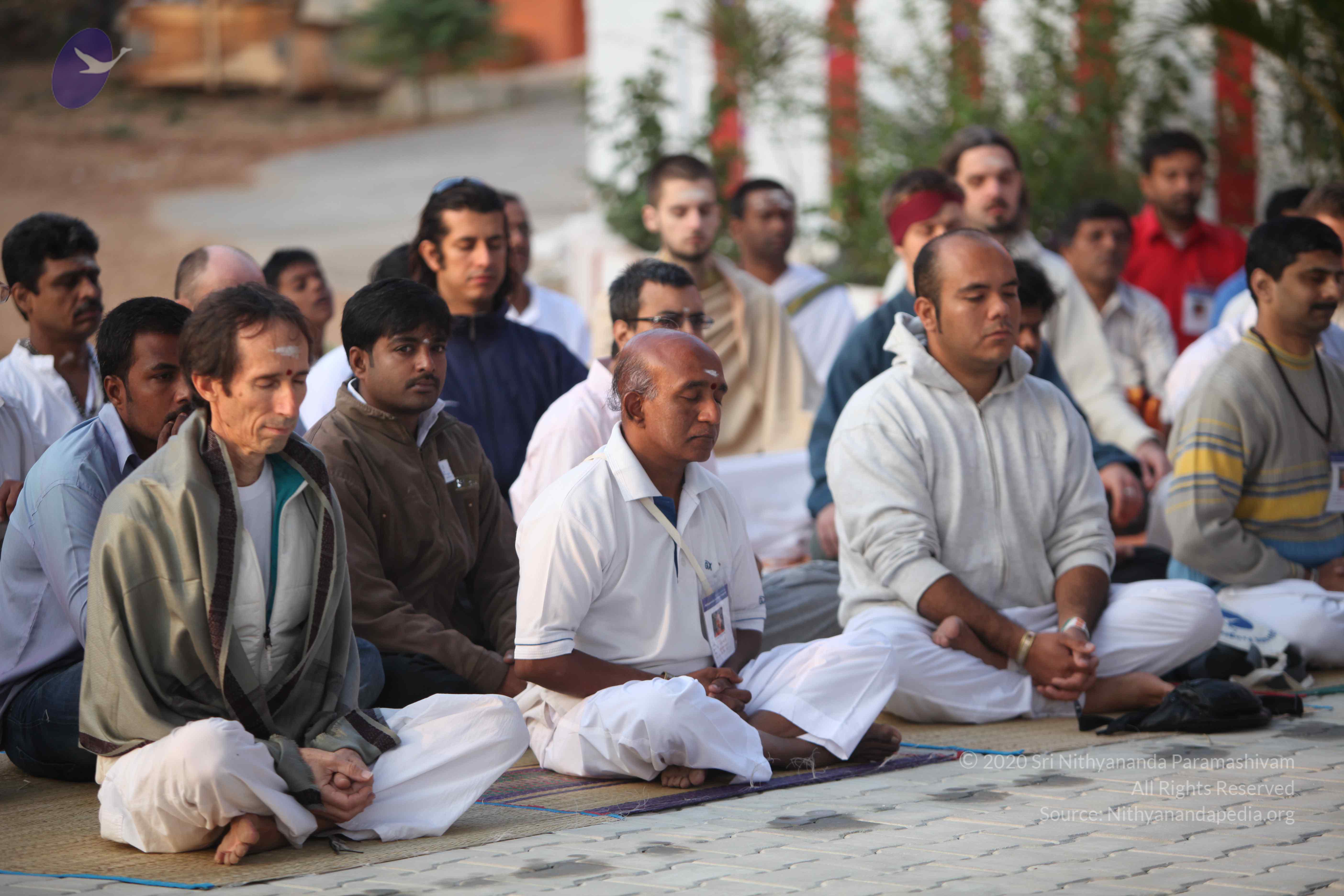 20110122_Photo_1270_IMG_2777_CMP_WM