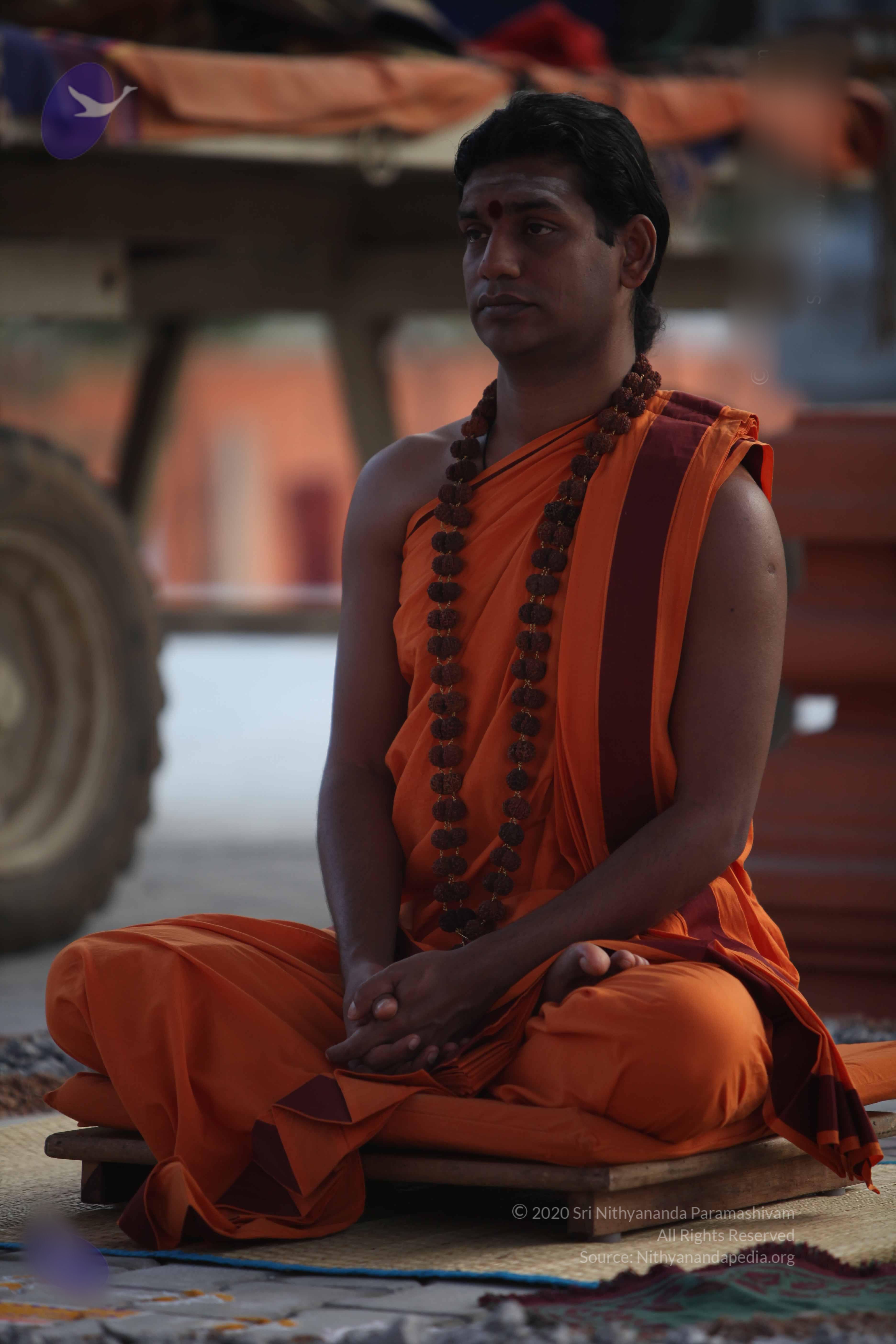 20110122_Photo_1271_IMG_2788_CMP_WM