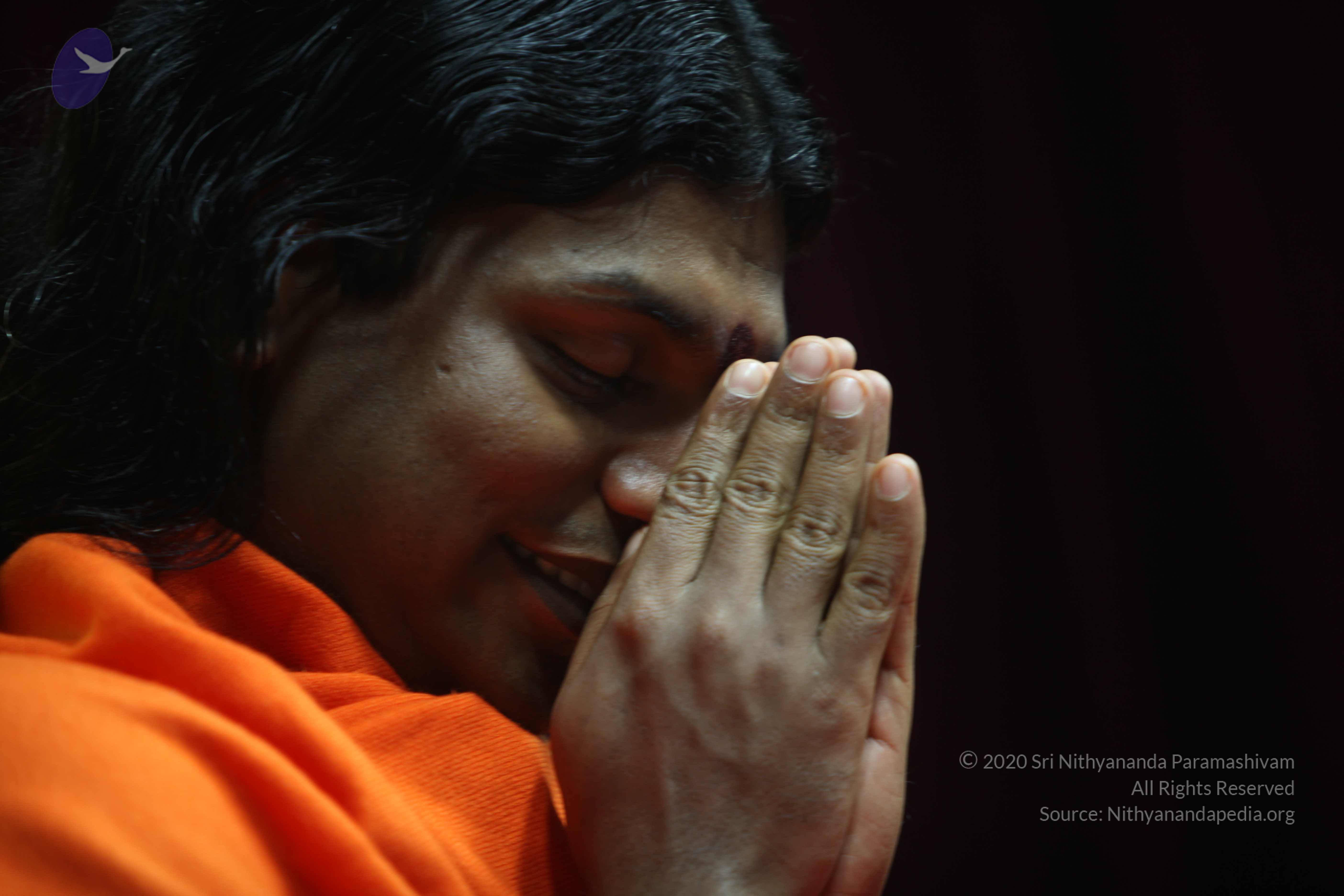 20110122_Photo_1275_IMG_3129_CMP_WM