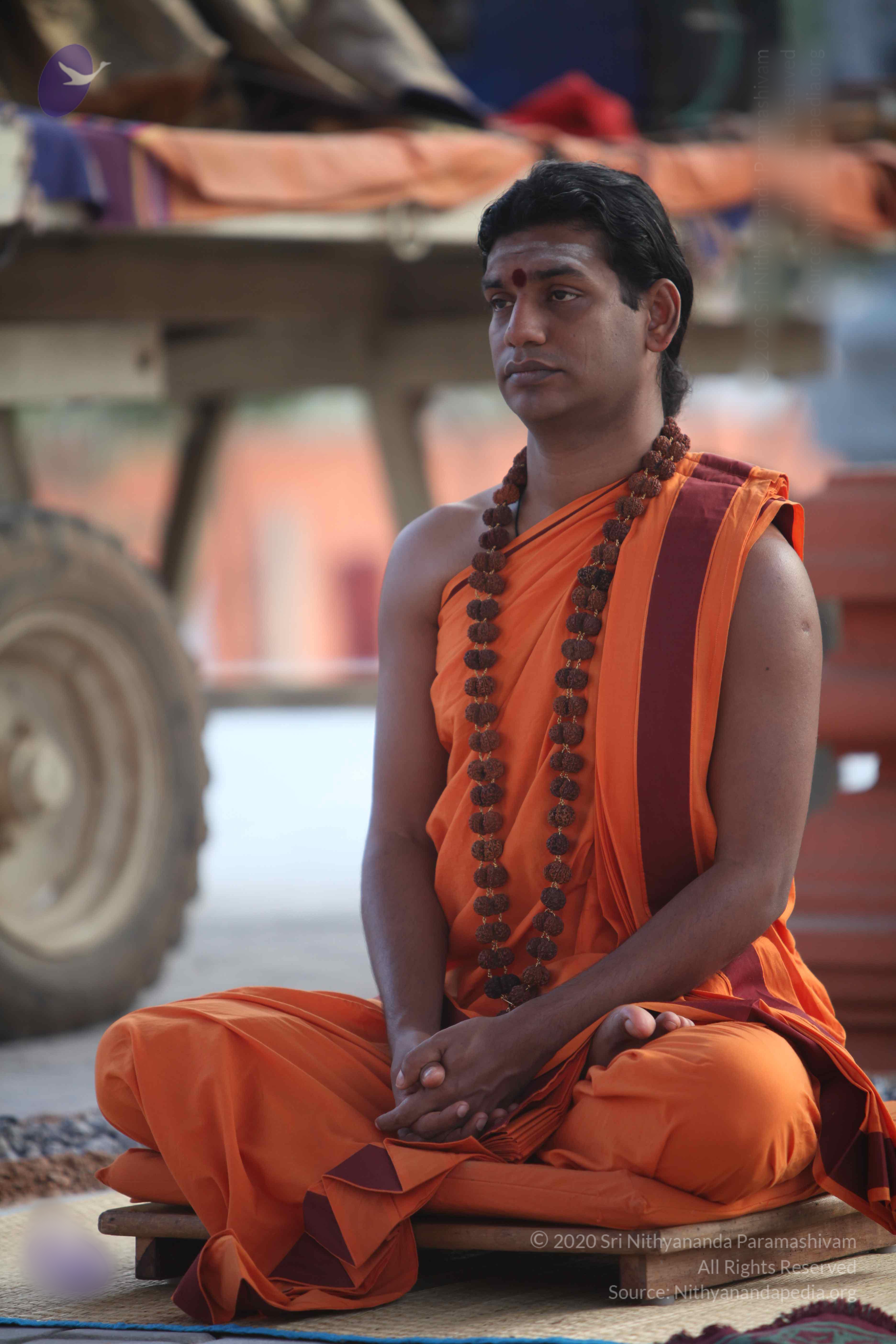 20110122_Photo_1280_IMG_2794_CMP_WM