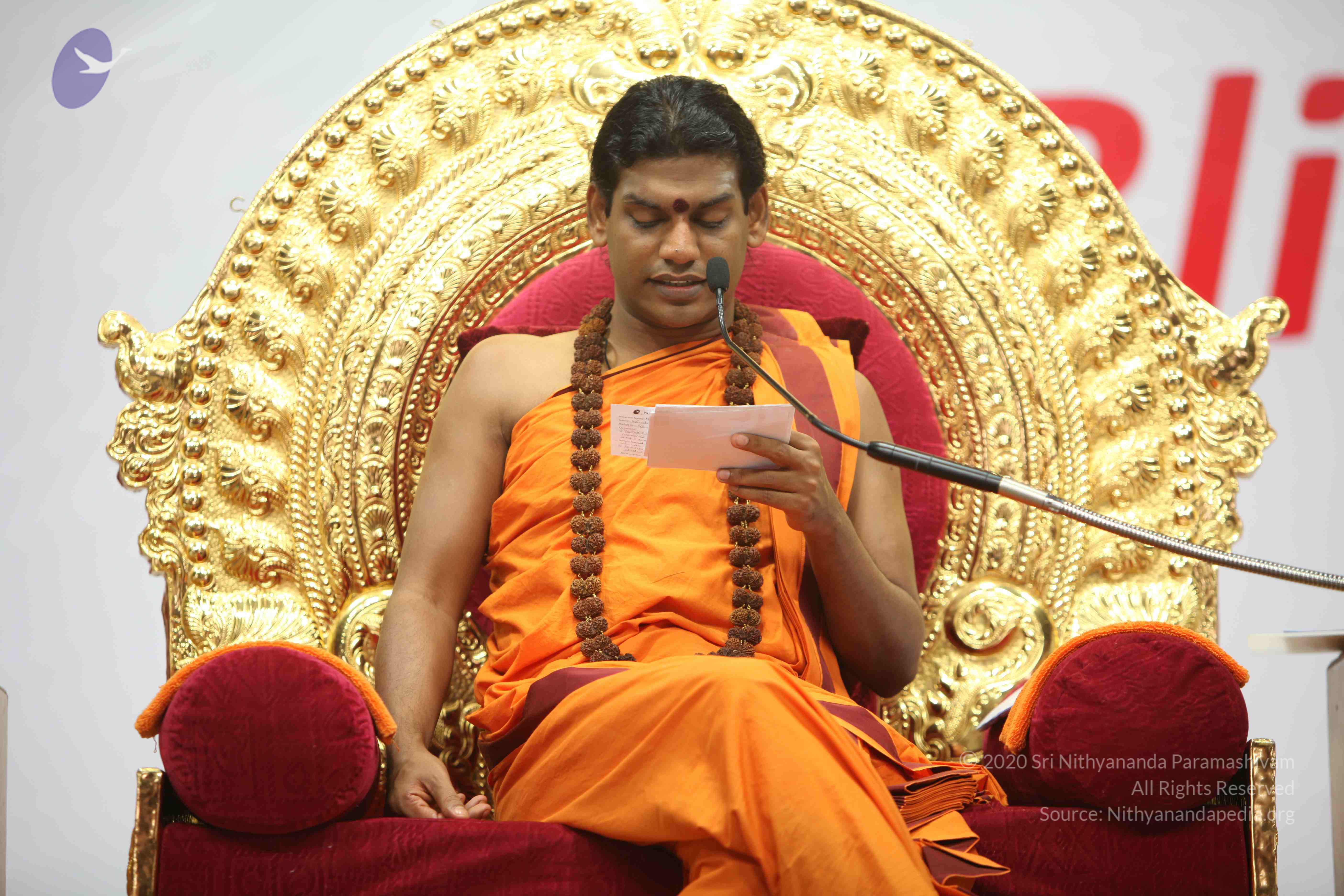 20110122_Photo_1284_IMG_2905_CMP_WM