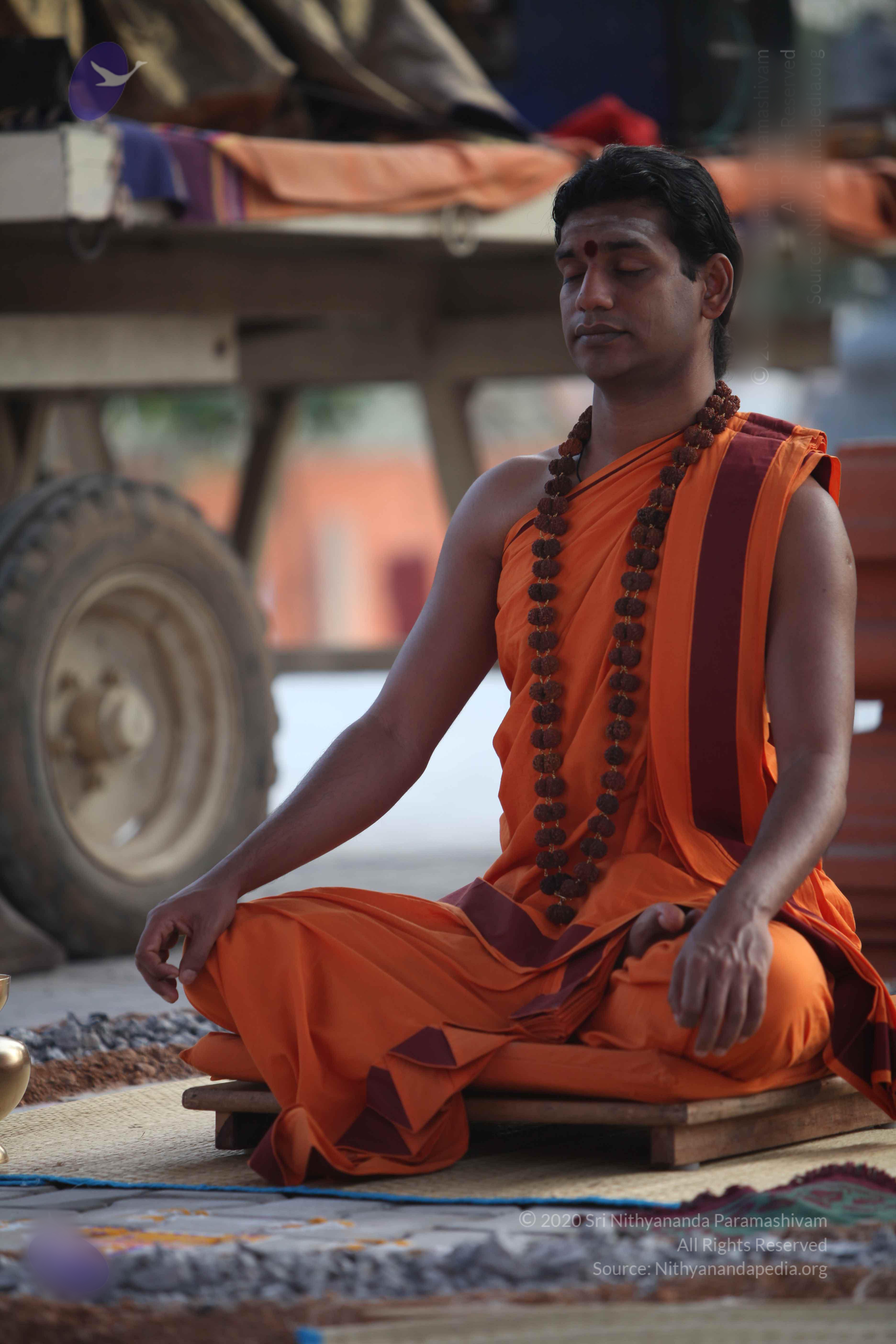 20110122_Photo_1287_IMG_2808_CMP_WM