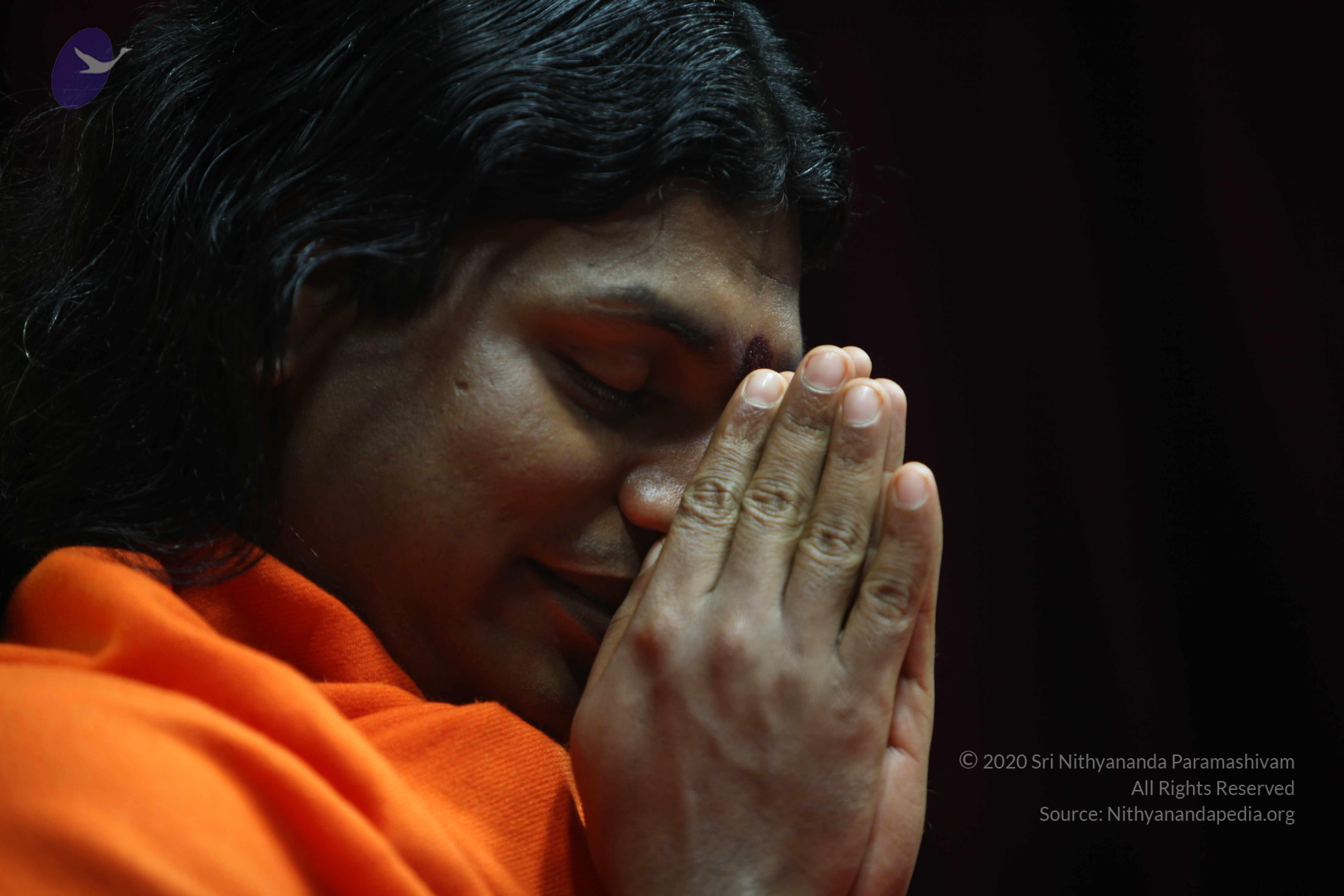 20110122_Photo_1289_IMG_3130_CMP_WM