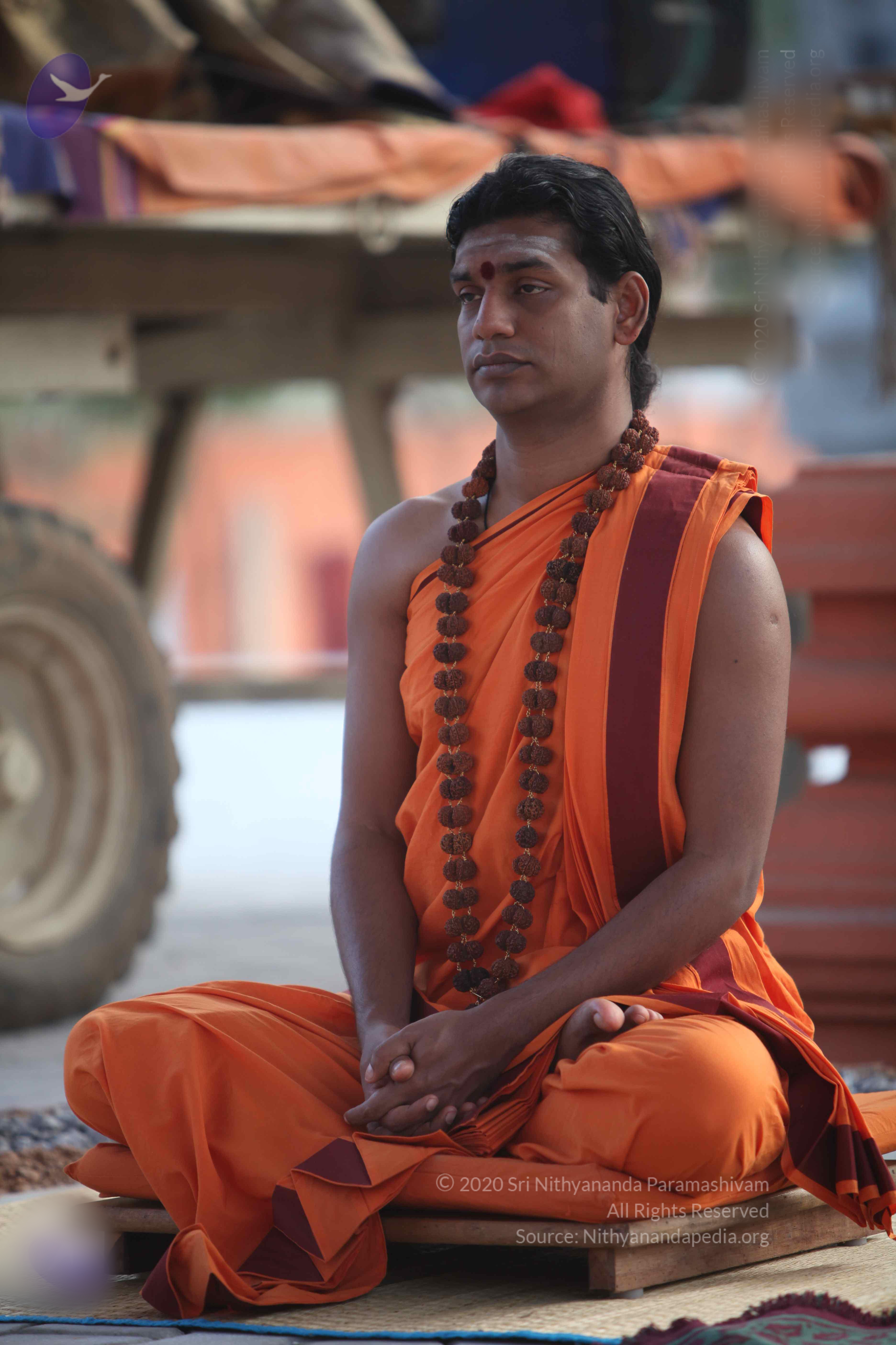 20110122_Photo_1292_IMG_2791_CMP_WM