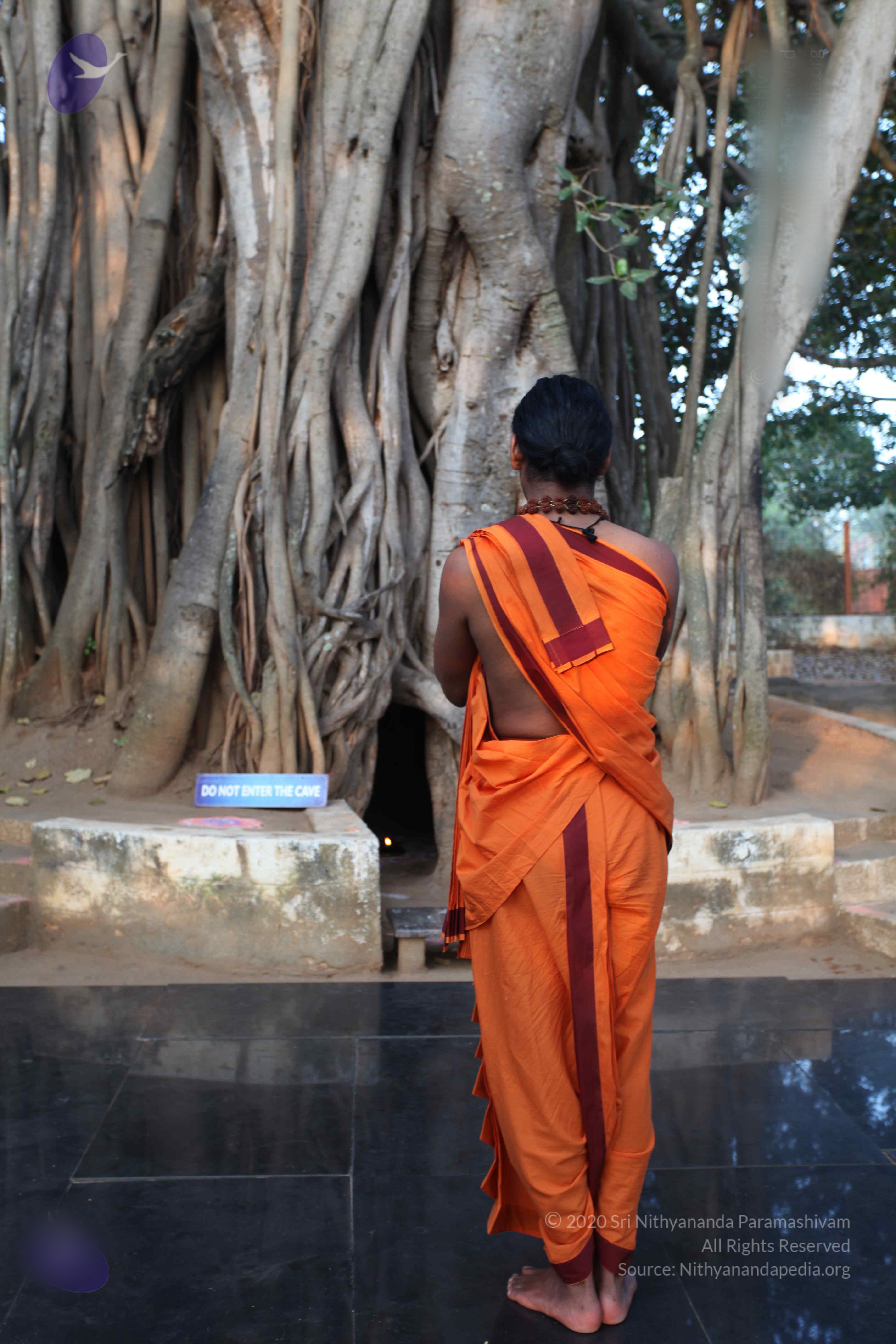 20110122_Photo_1298_IMG_2748_CMP_WM