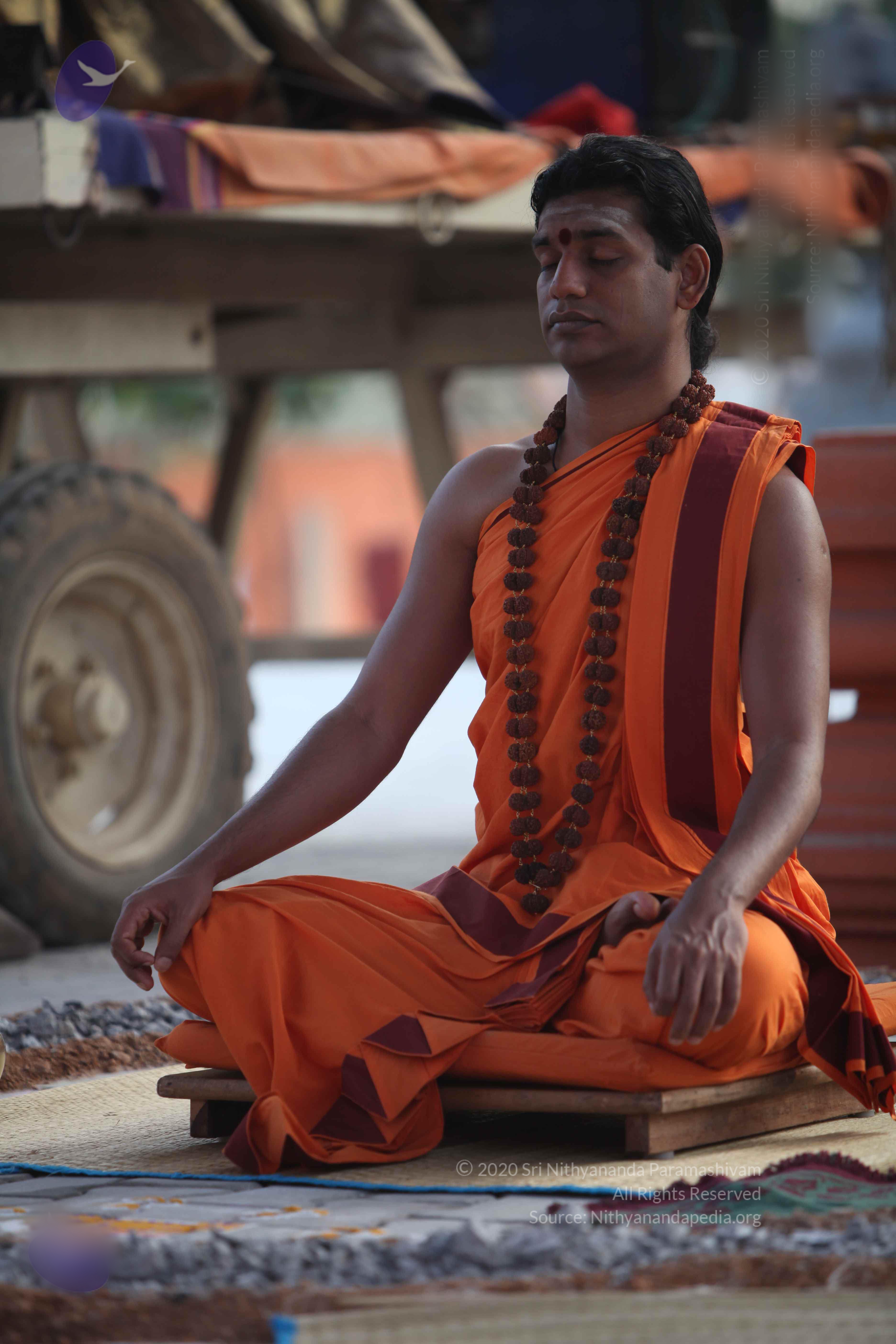 20110122_Photo_1300_IMG_2805_CMP_WM